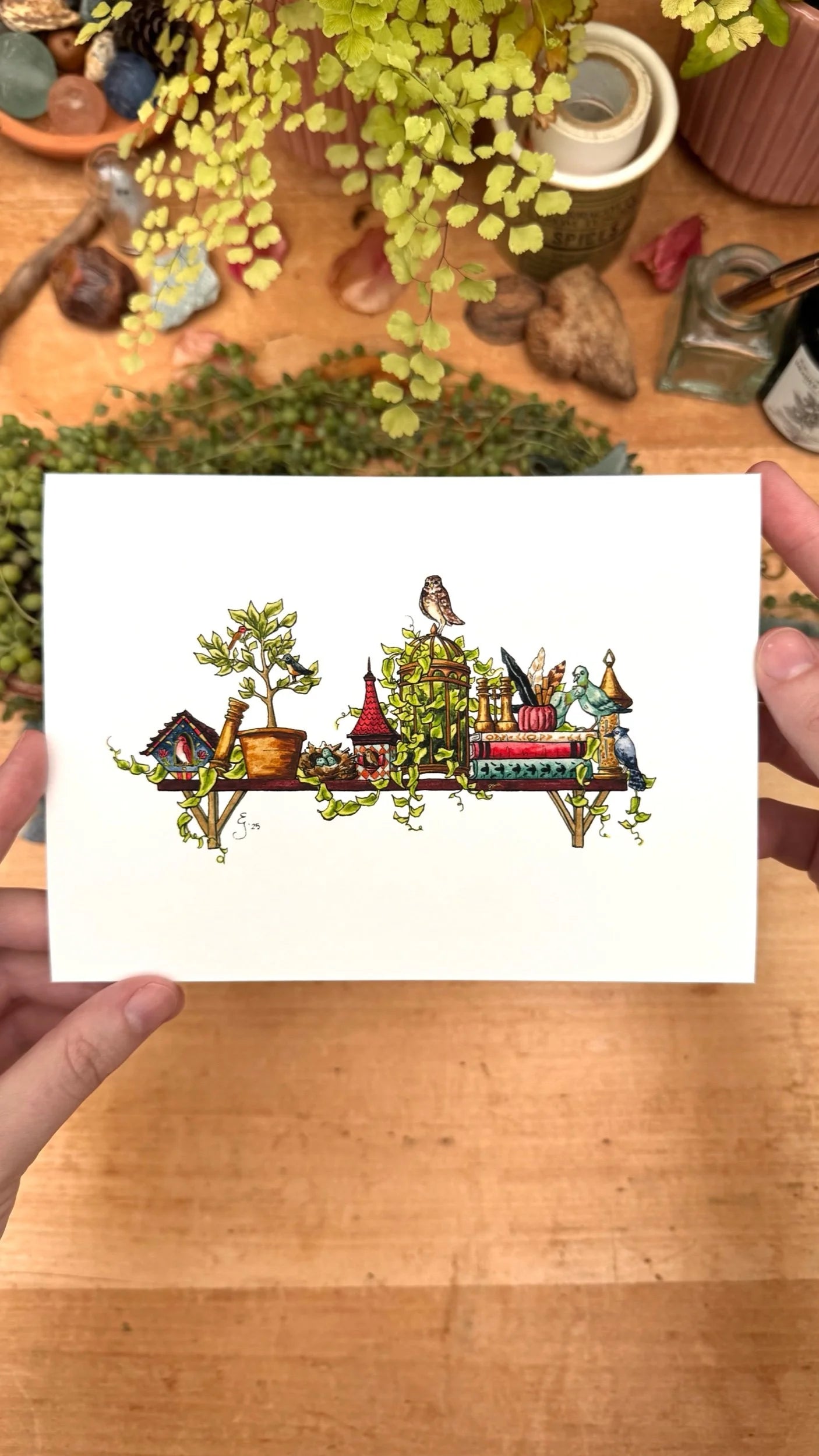 The Mini Ornithologist's Shelf Giclée Print