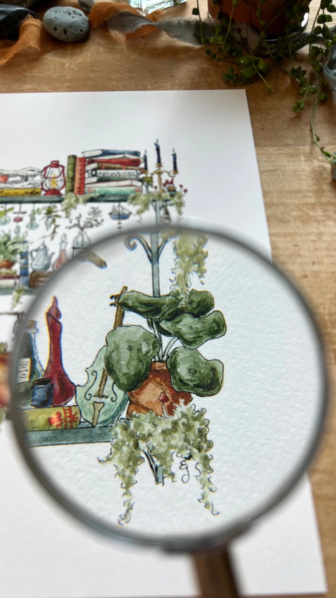 The Swamp Witch's Shelves Giclée Print
