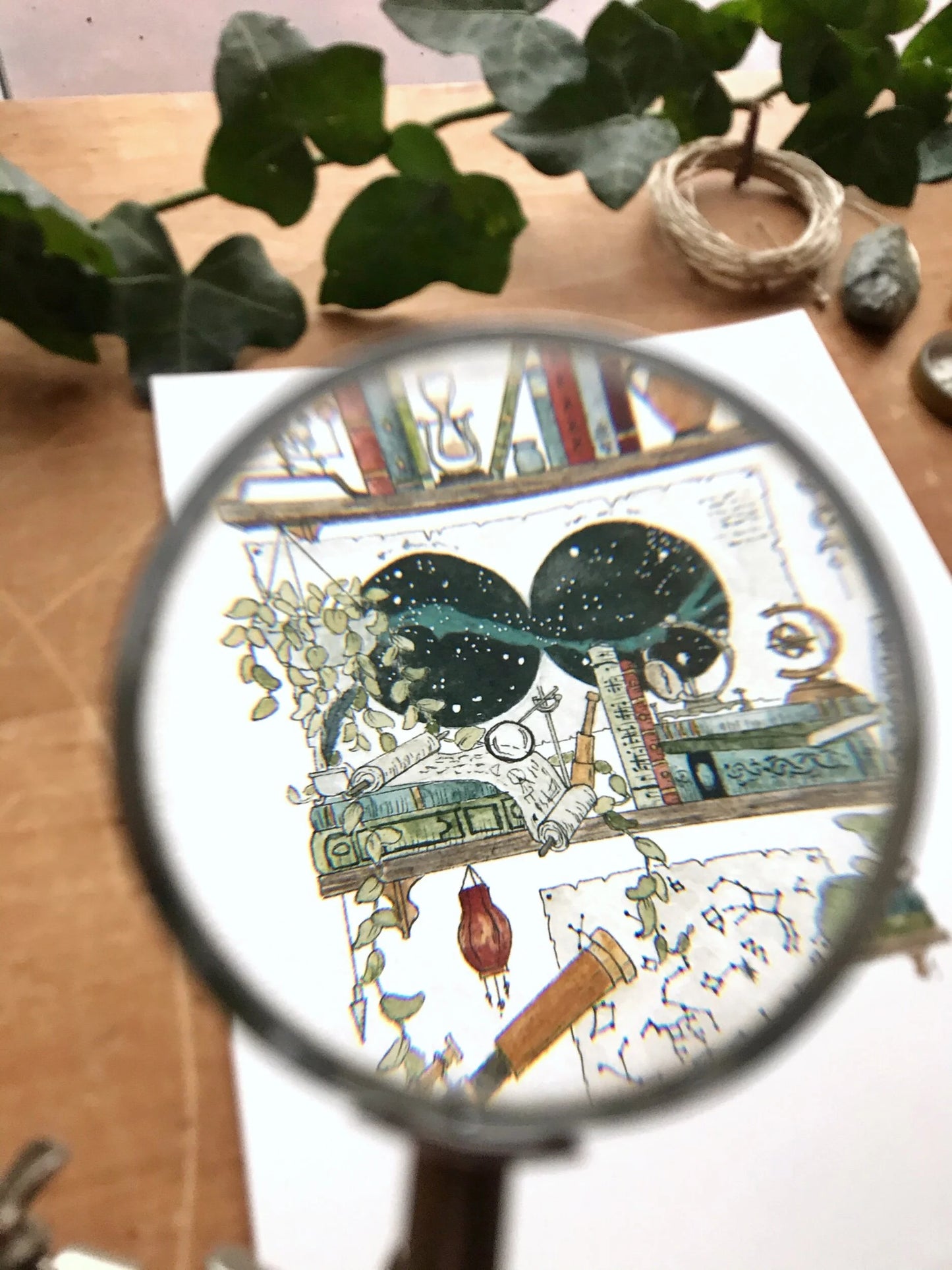 The Astronomer's Shelves Giclée Print