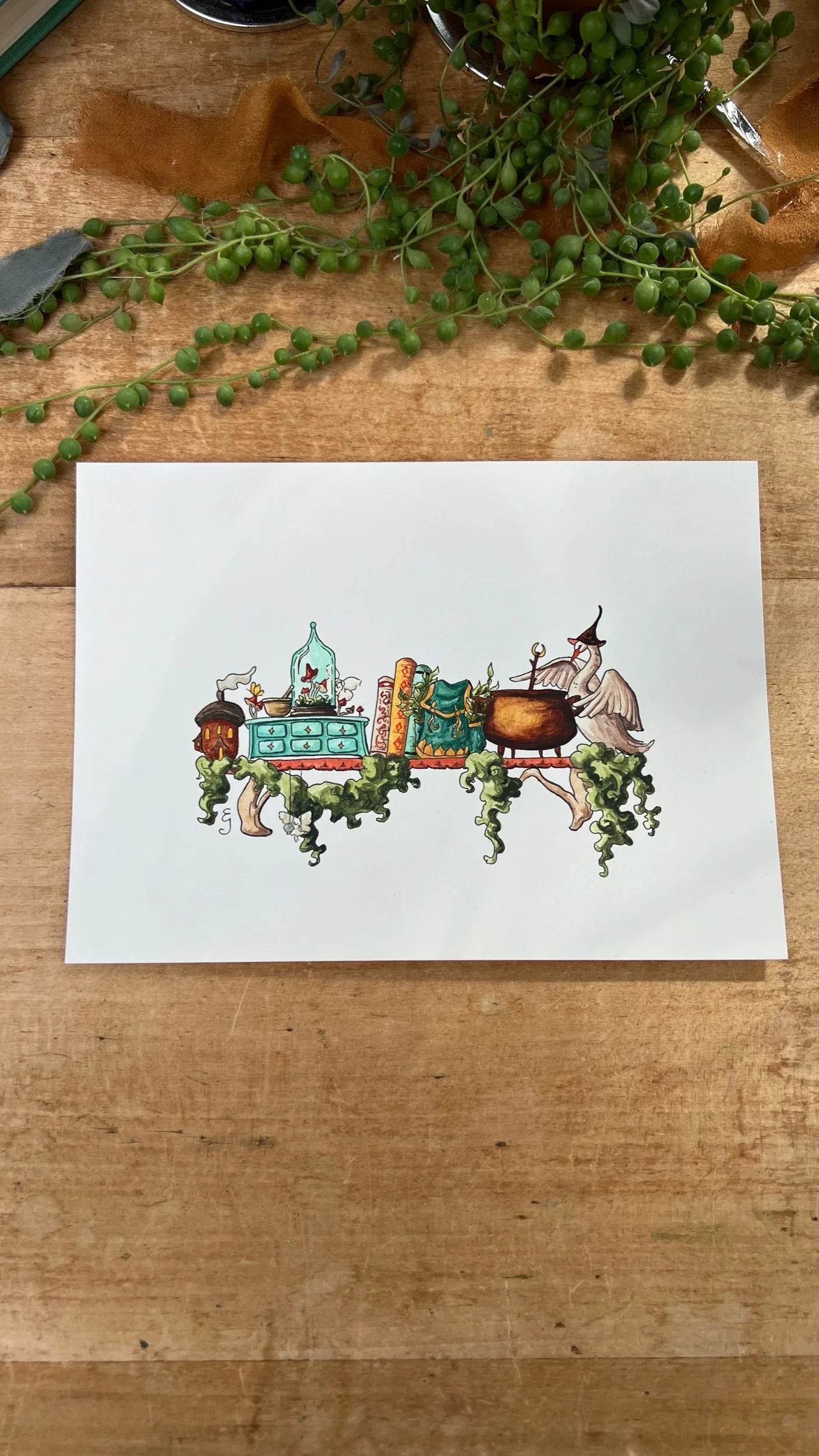 Original Mini Fairy Witch's Shelf Illustration