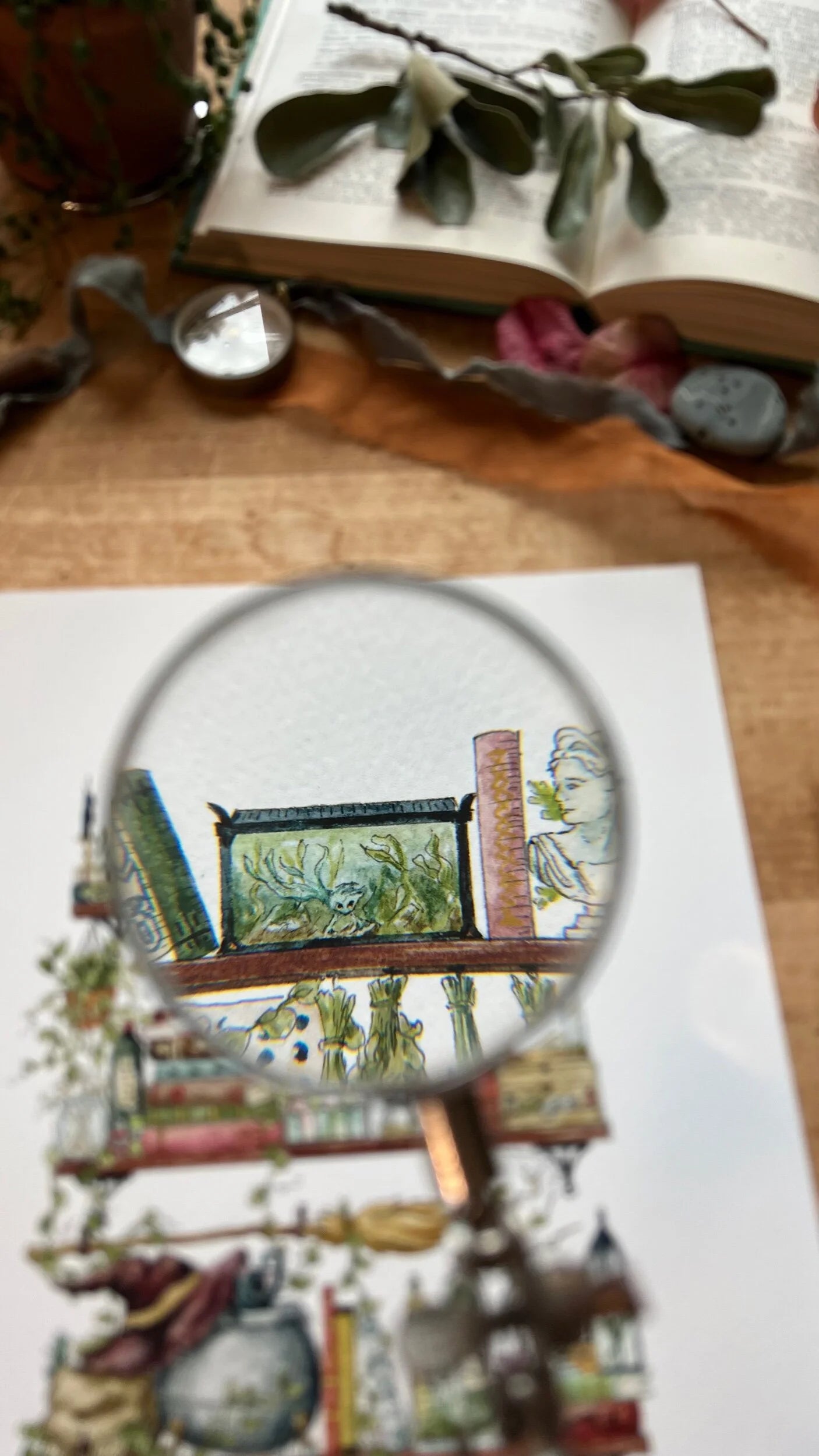 The Witch's Shelves Giclée Print