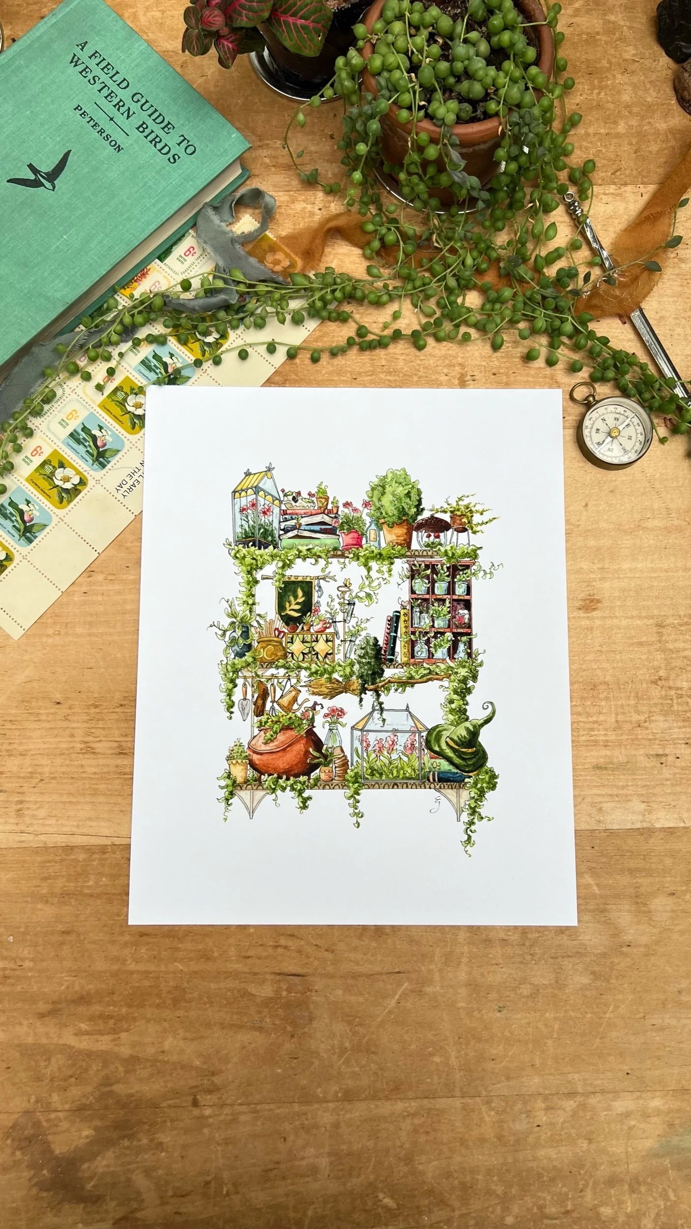 The Garden Witch's Shelves Giclée Print