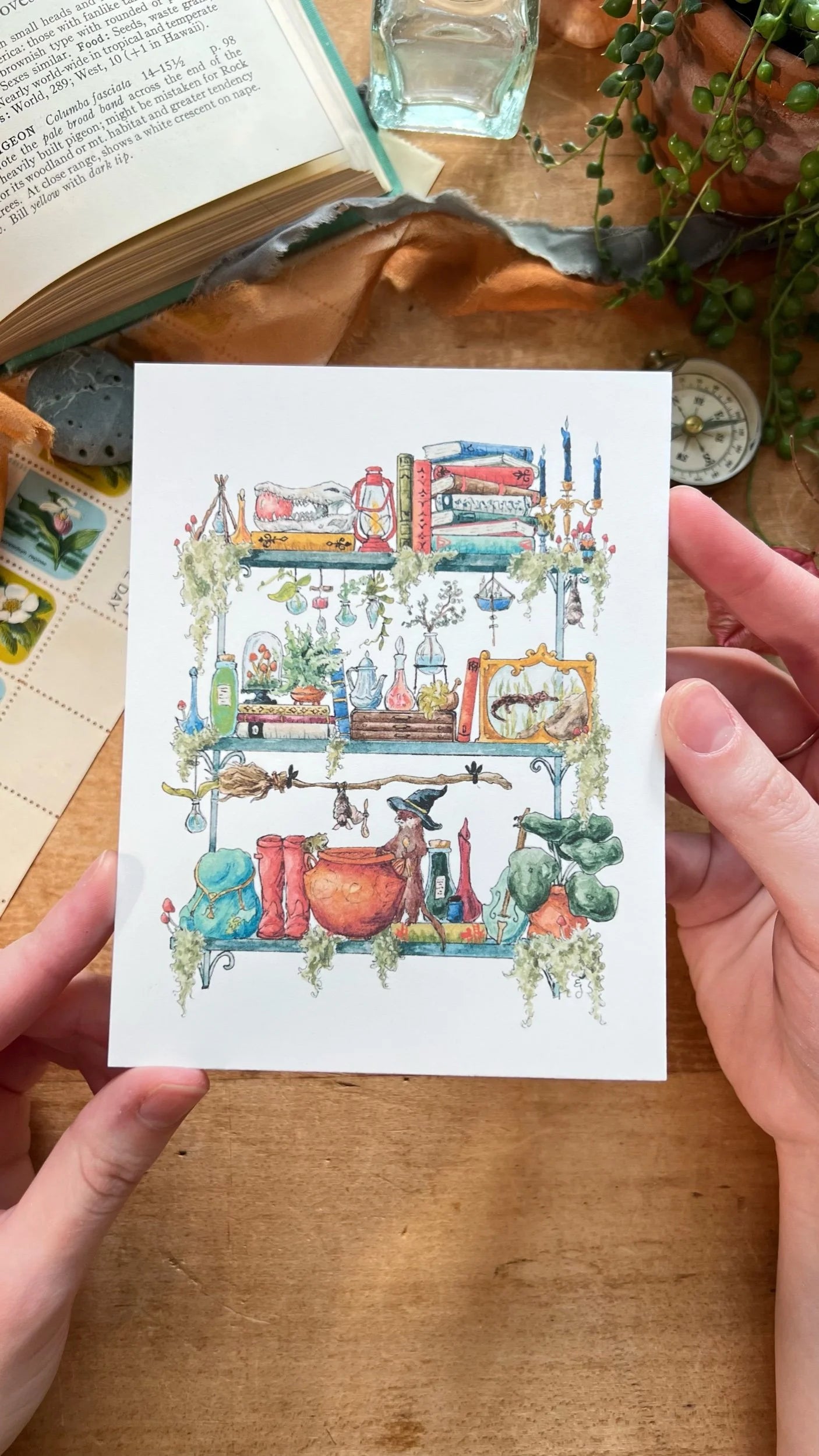 Witches Postcards Vol. 1