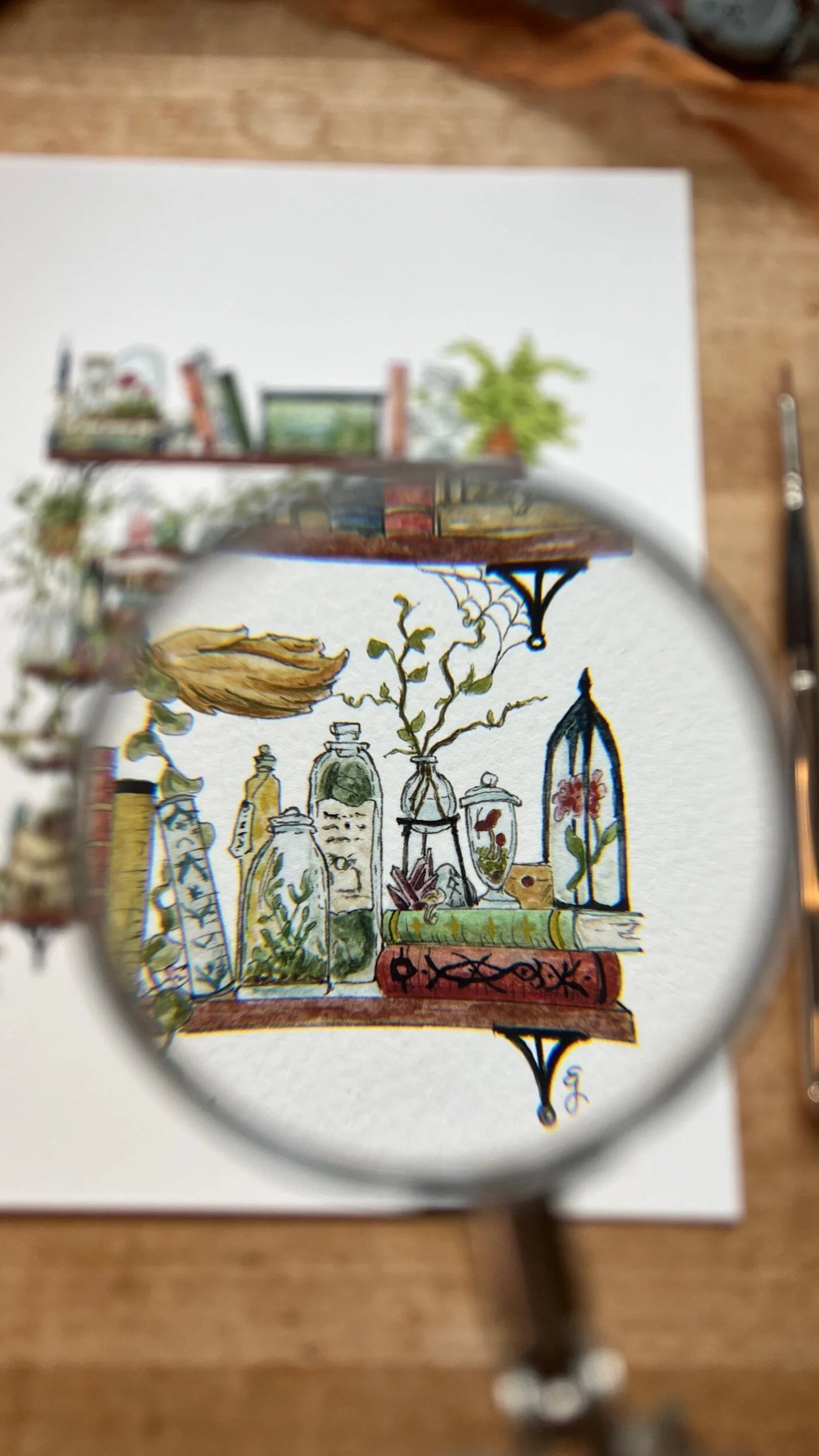 The Witch's Shelves Giclée Print