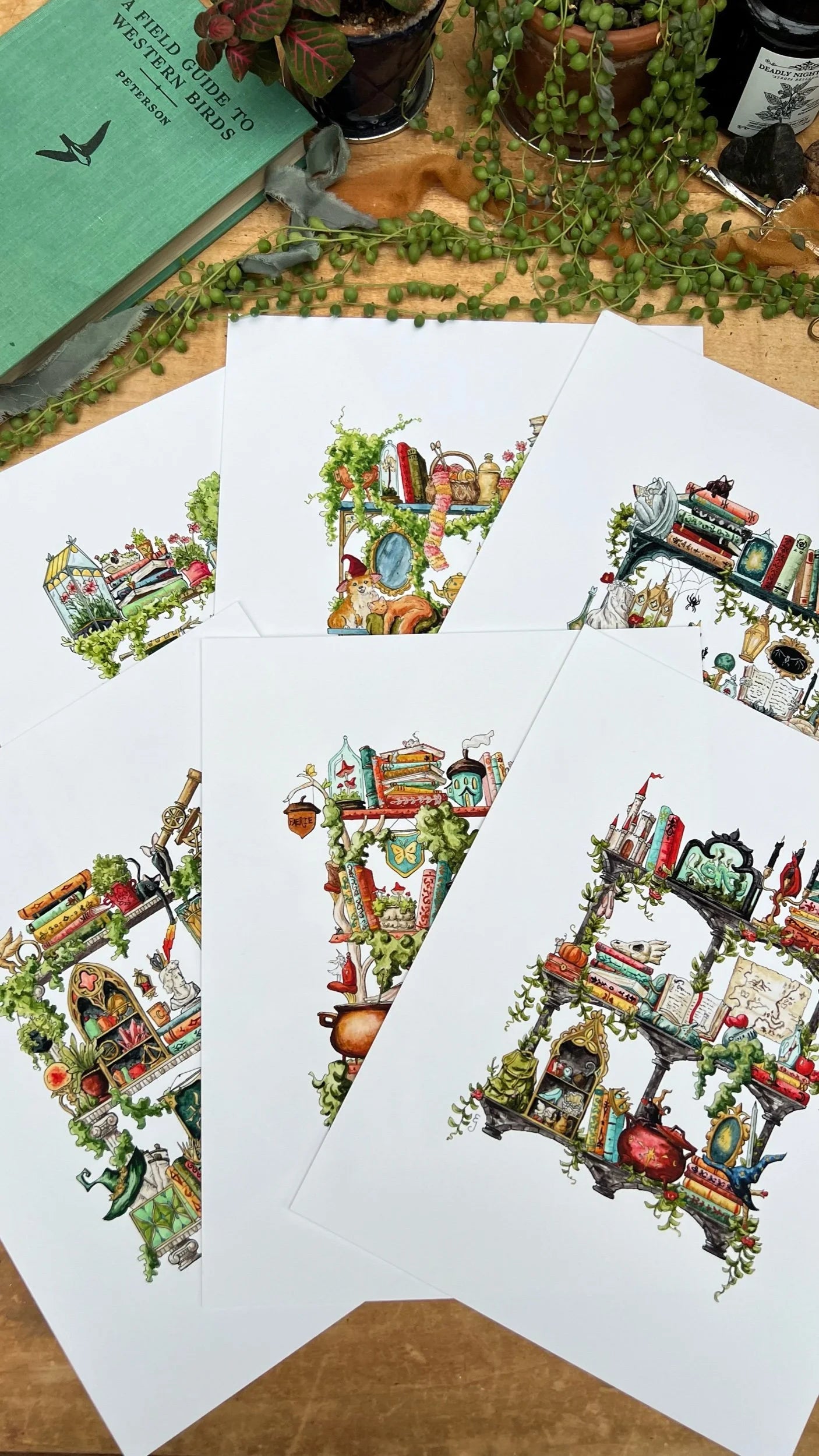Witches Shelves Giclée Print Bundle, Vol. 2