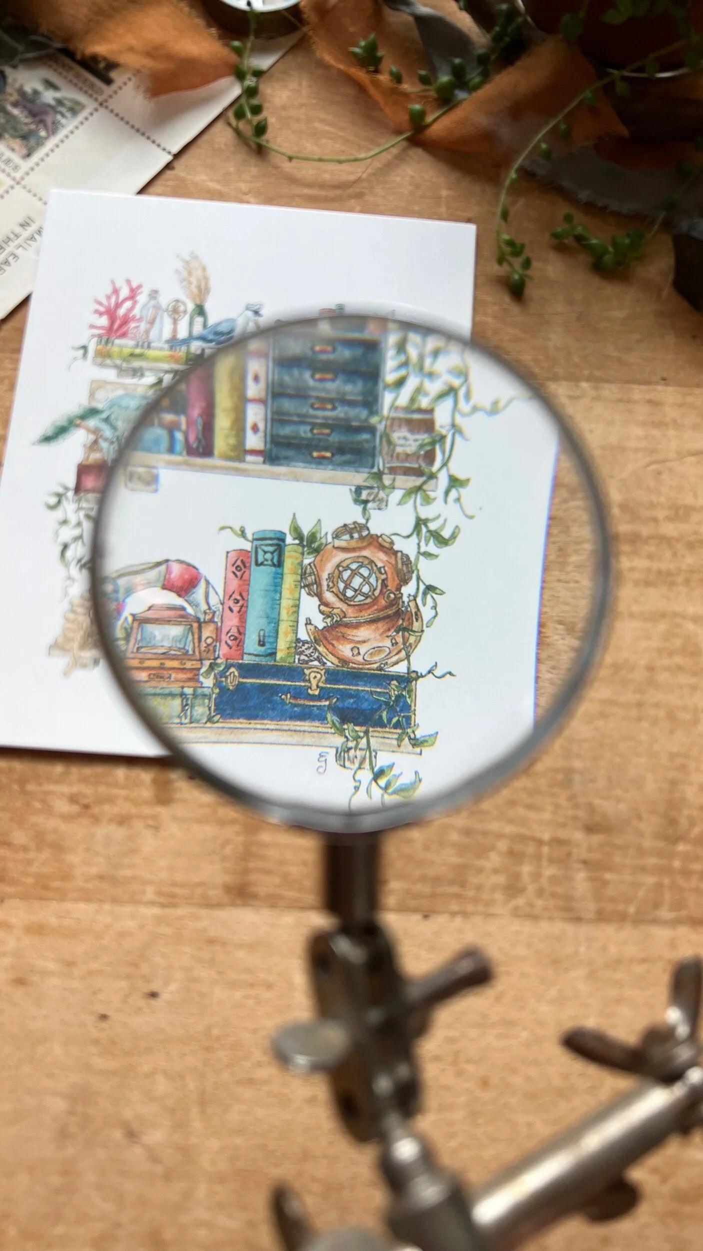 The Sailor's Shelves Postcard