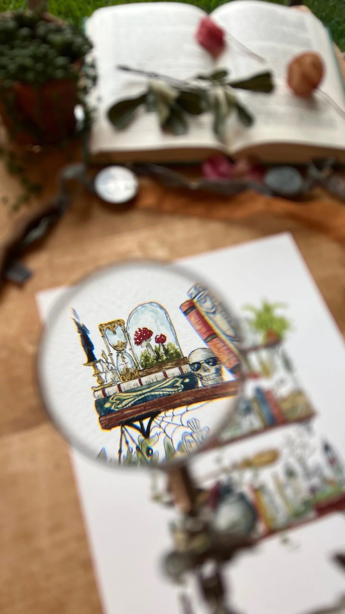 The Witch's Shelves Giclée Print