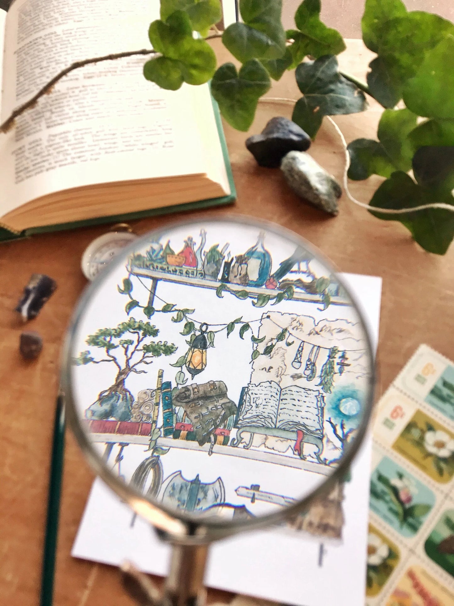 The Adventurer's Shelves Postcard