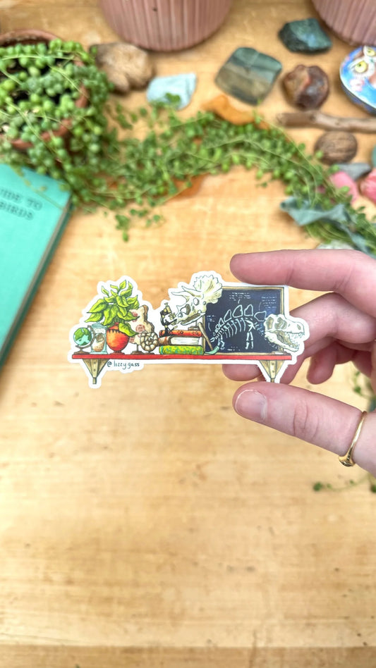 The Mini Paleontologist's Shelf Sticker