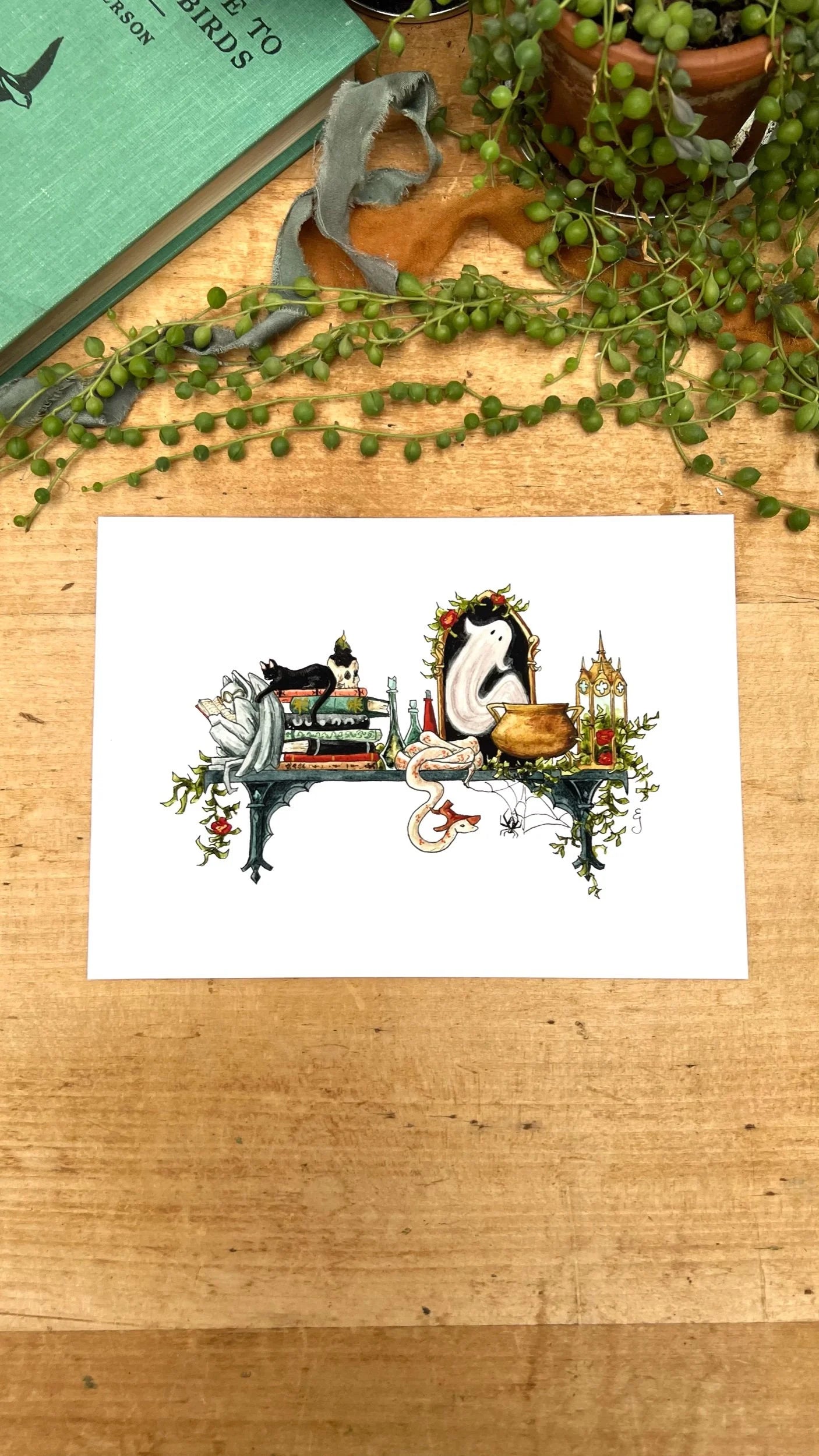 The Mini Gothic Witch's Shelf Giclée Print