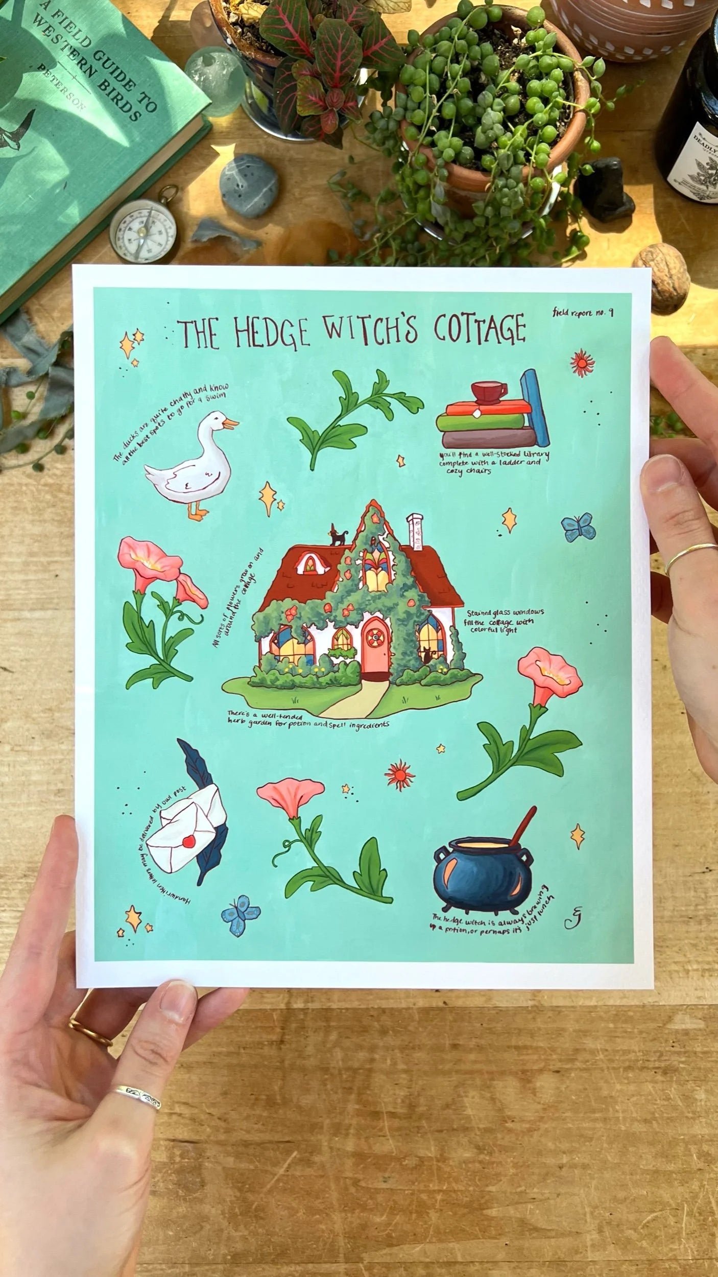 The Hedge Witch's Cottage Field Report Giclée Print