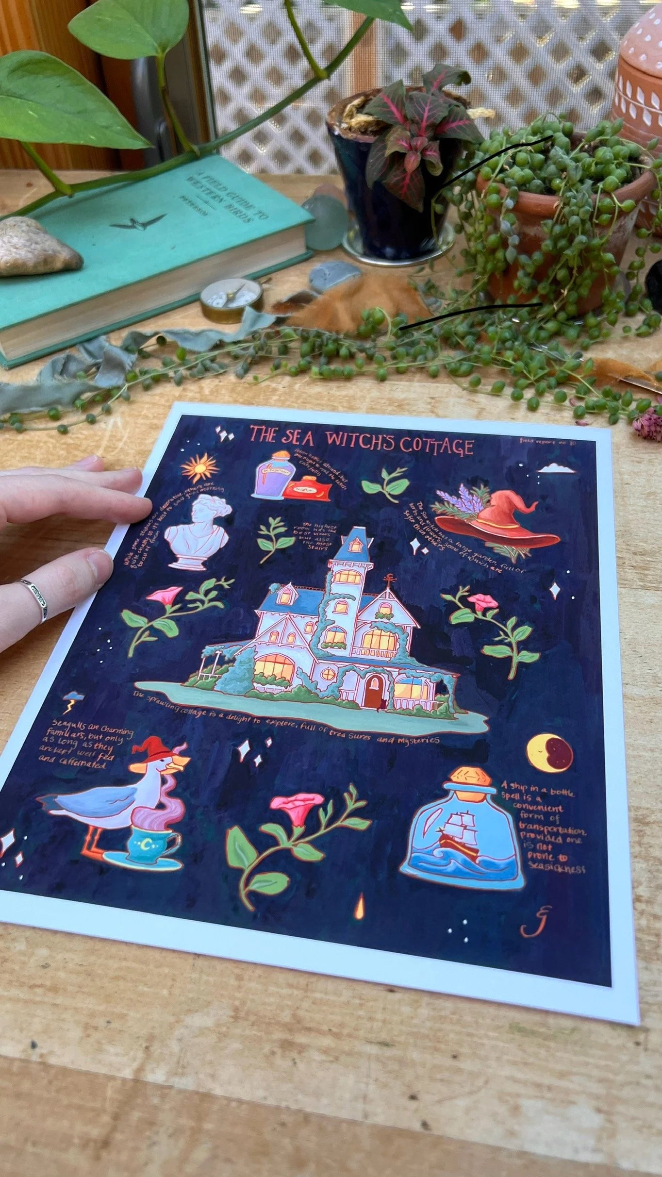 The Sea Witch's Cottage Field Report Giclée Print