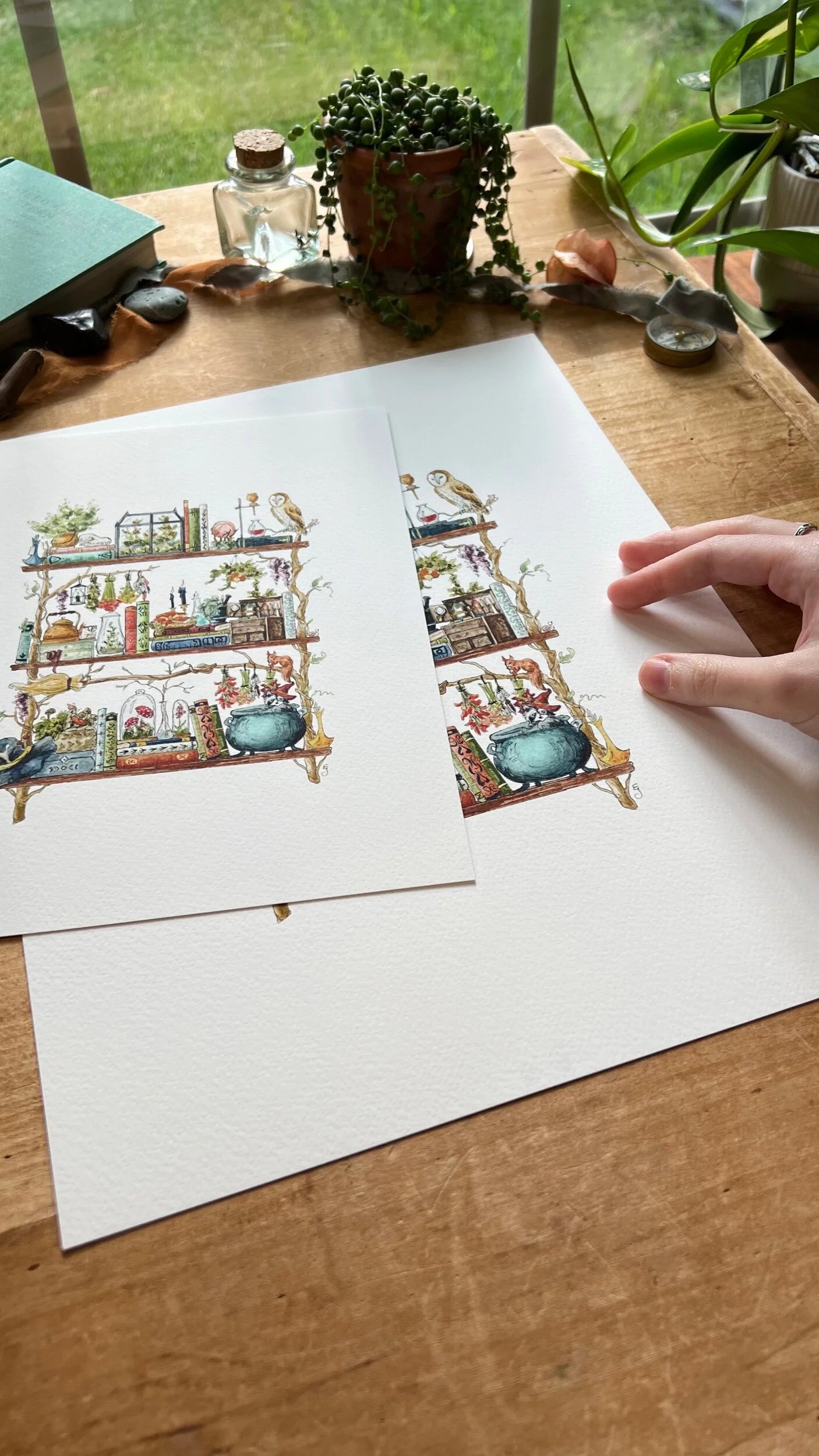 The Forest Witch's Shelves Giclée Print