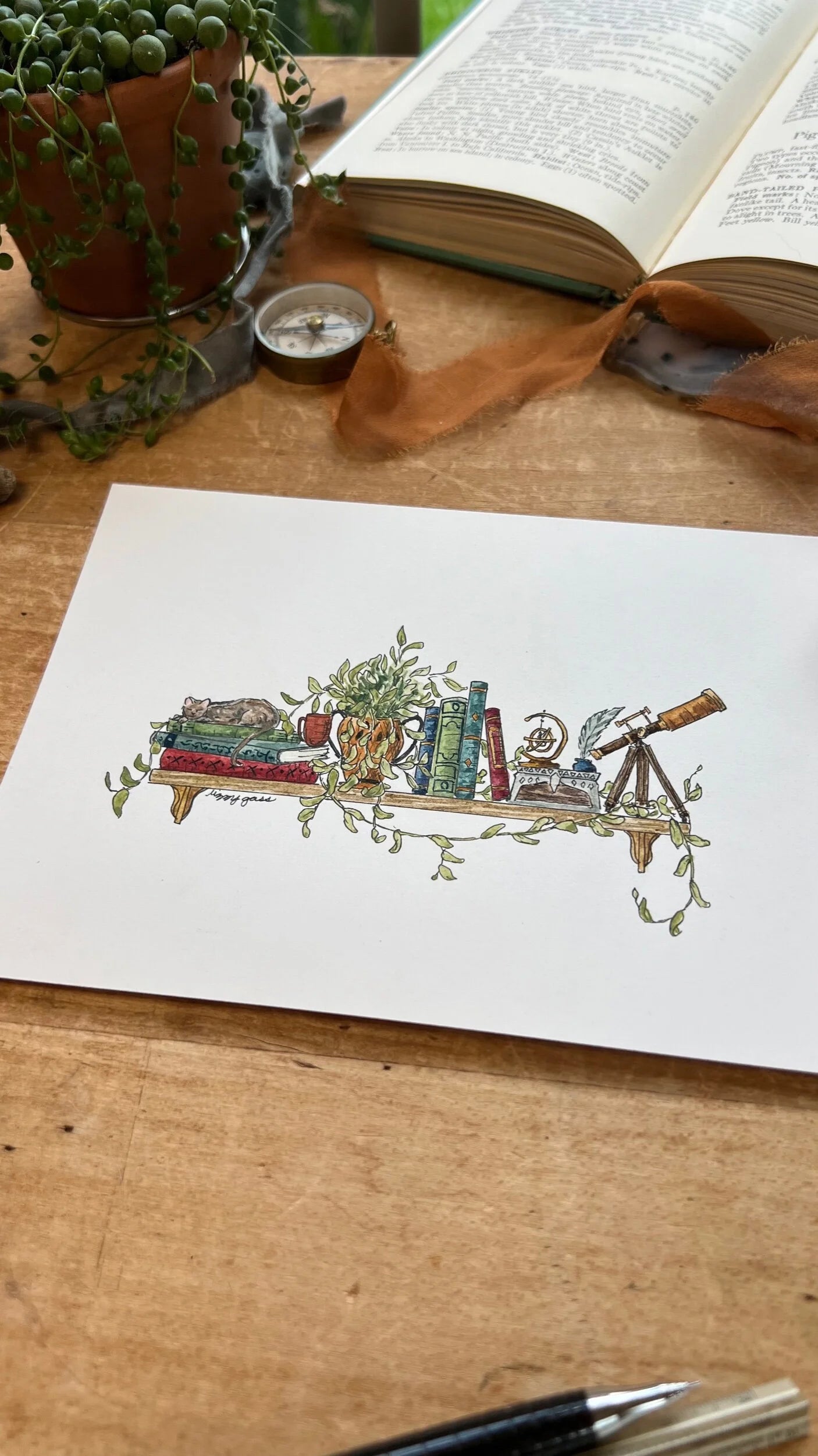 Framed Original Mini Astronomer's Shelf Illustration