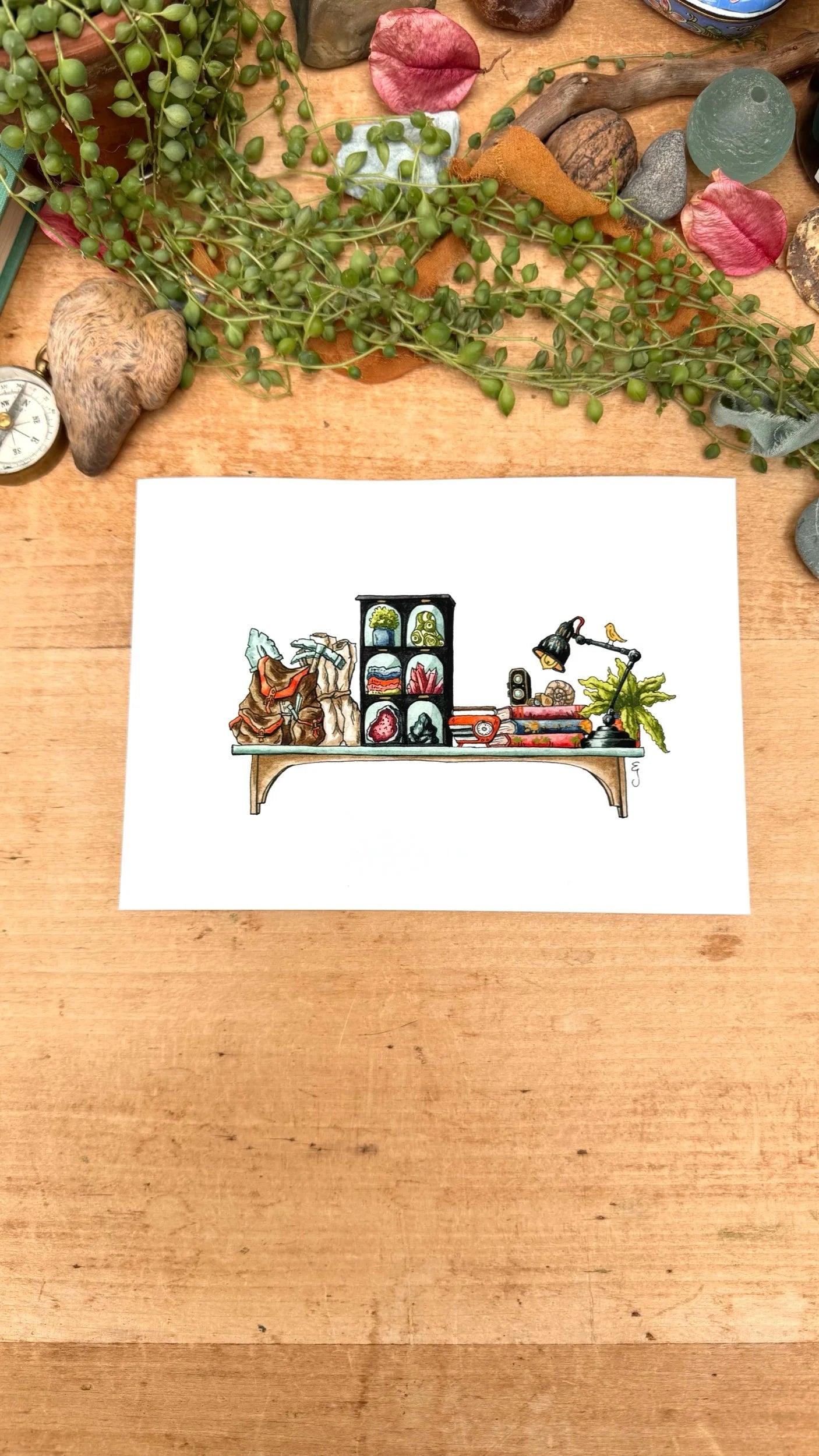 The Mini Geologist's Shelf Giclée Print