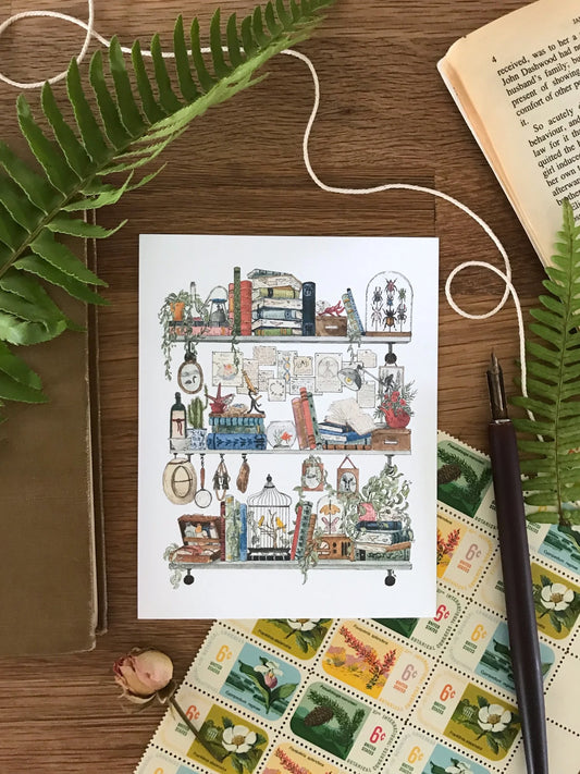 The Biologist's Shelves Postcard