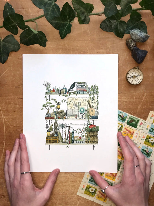The Adventurer's Shelves Giclée Print