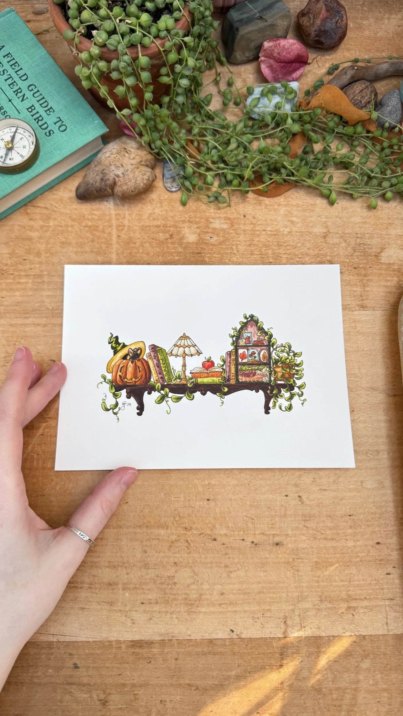 Original Mini Autumn Witch's Shelf Illustration