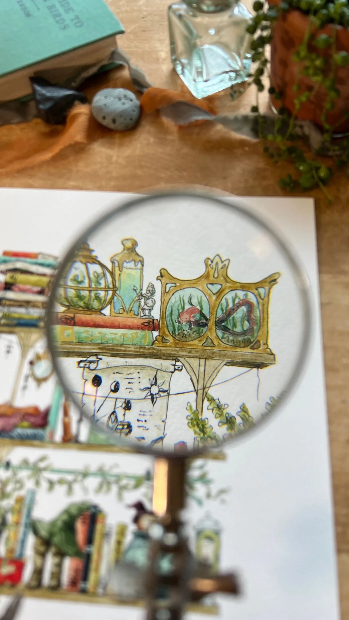 The Sea Witch's Shelves Giclée Print