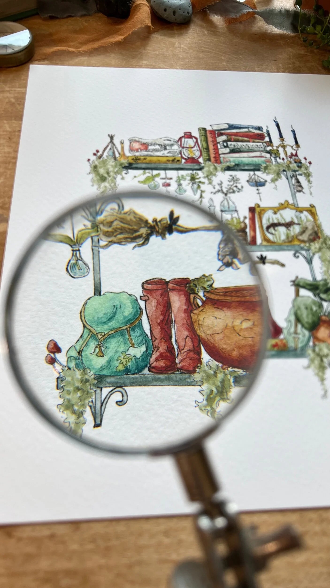 The Swamp Witch's Shelves Giclée Print