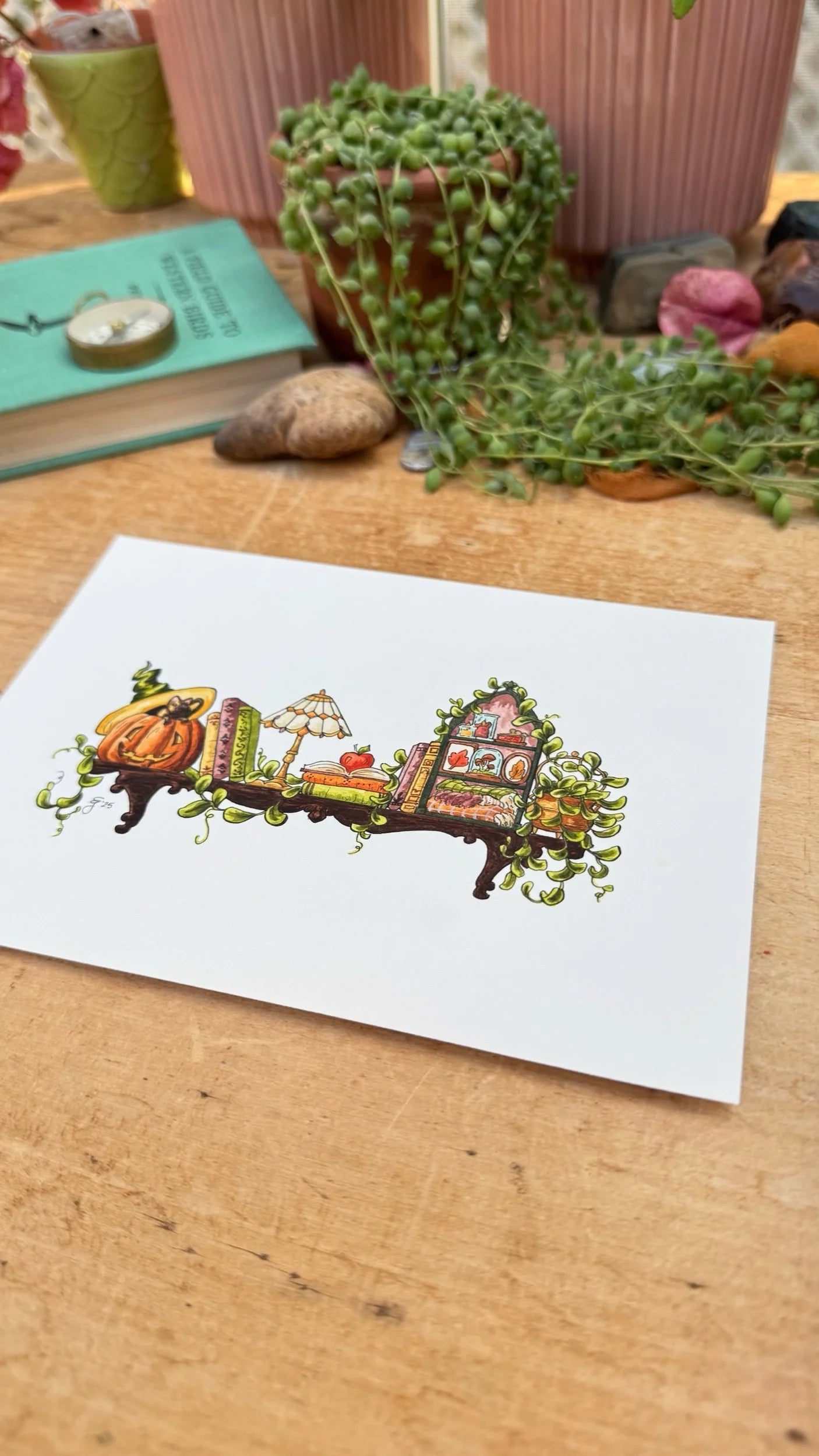 Original Mini Autumn Witch's Shelf Illustration