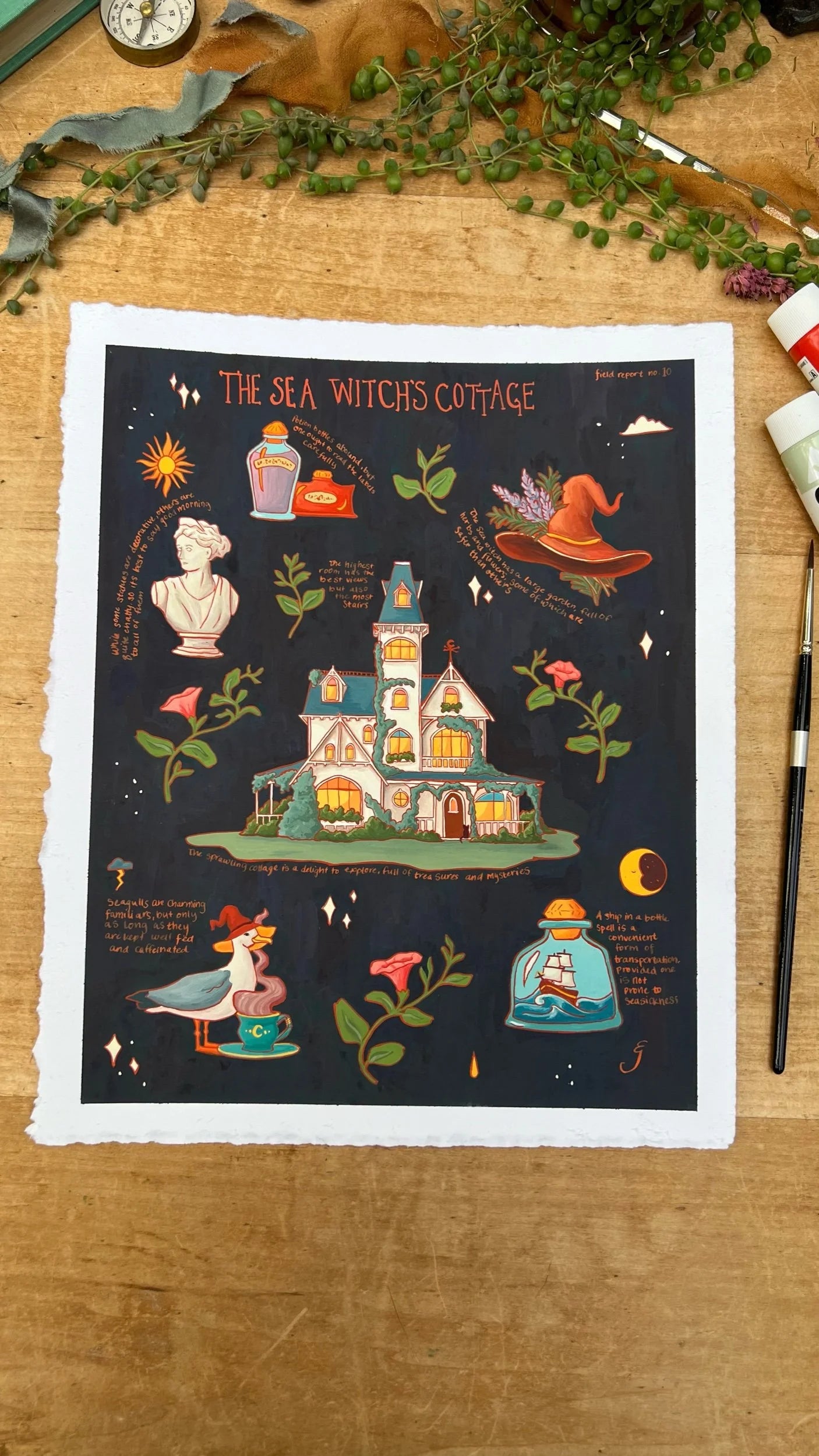 Original Sea Witch's Cottage Field Report