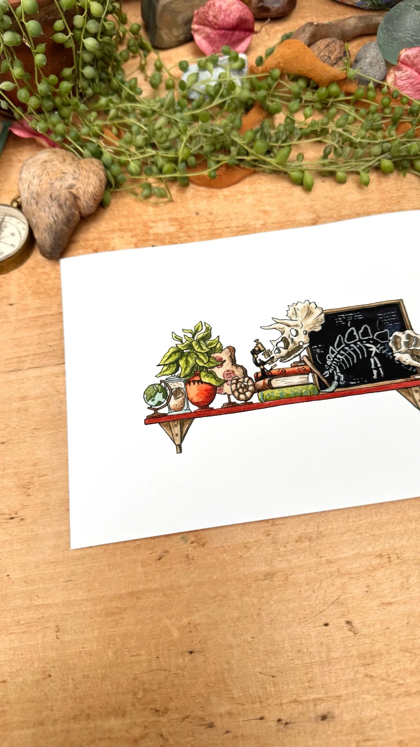 The Mini Paleontologist's Shelf Giclée Print