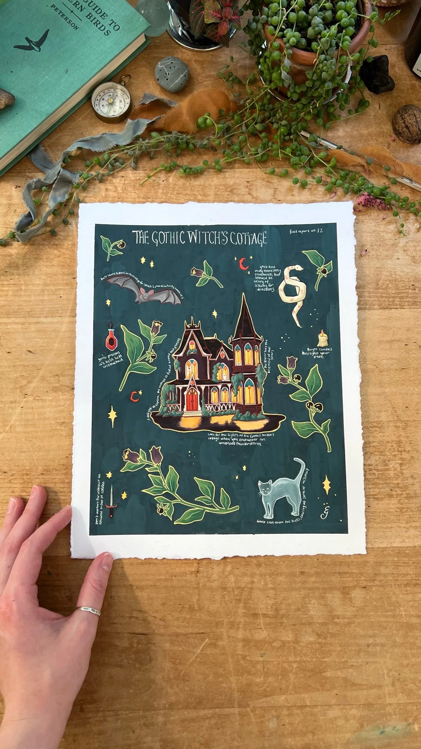 Original Gothic Witch's Cottage Field Report