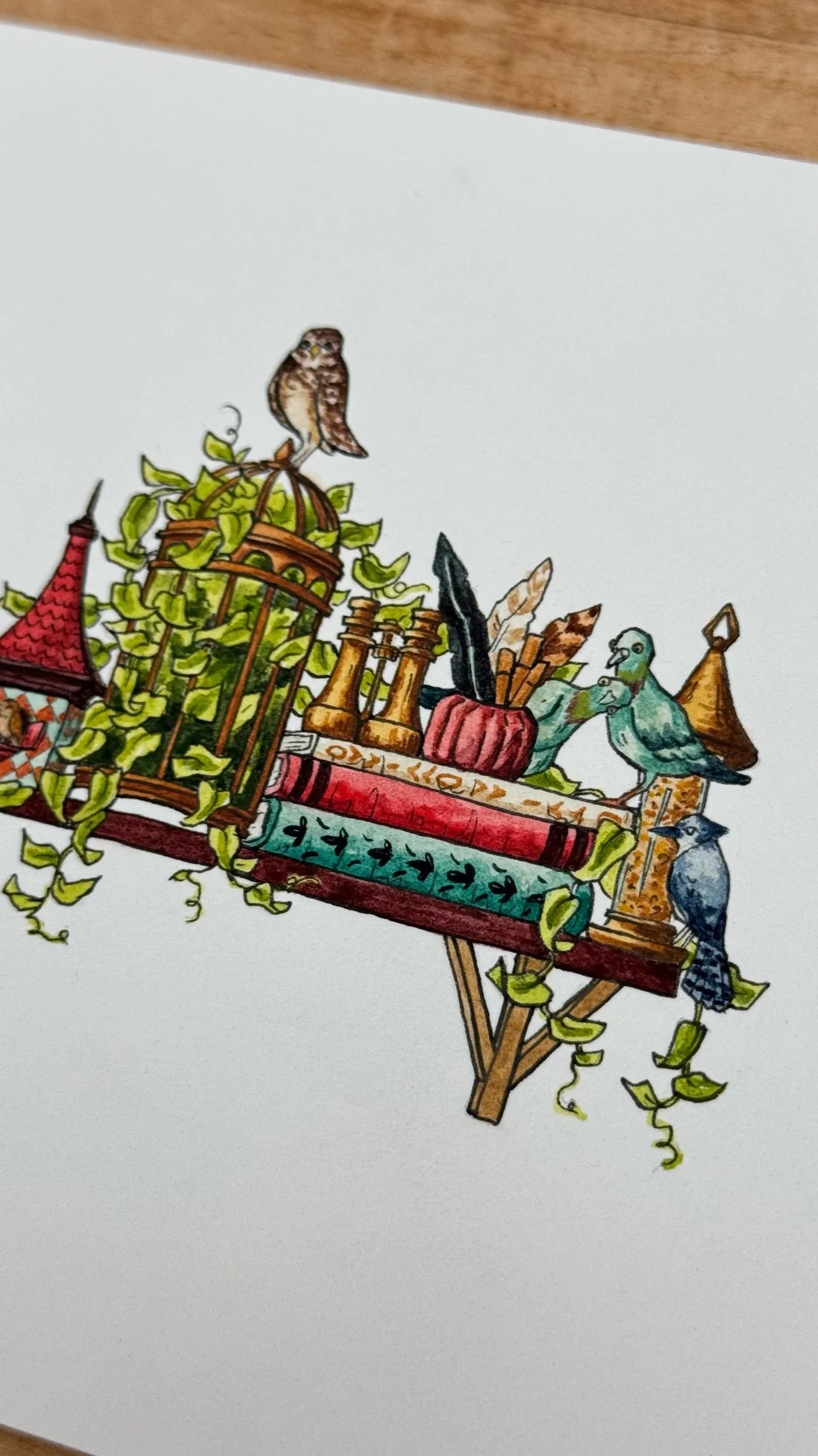 Original Mini Ornithologist's Shelf Illustration
