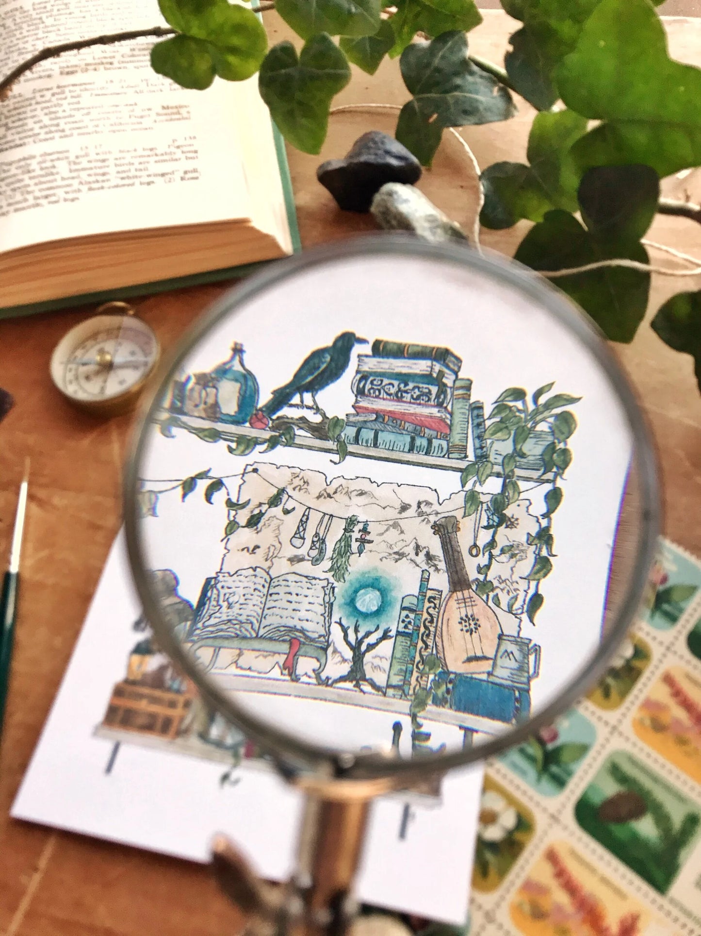 The Adventurer's Shelves Postcard