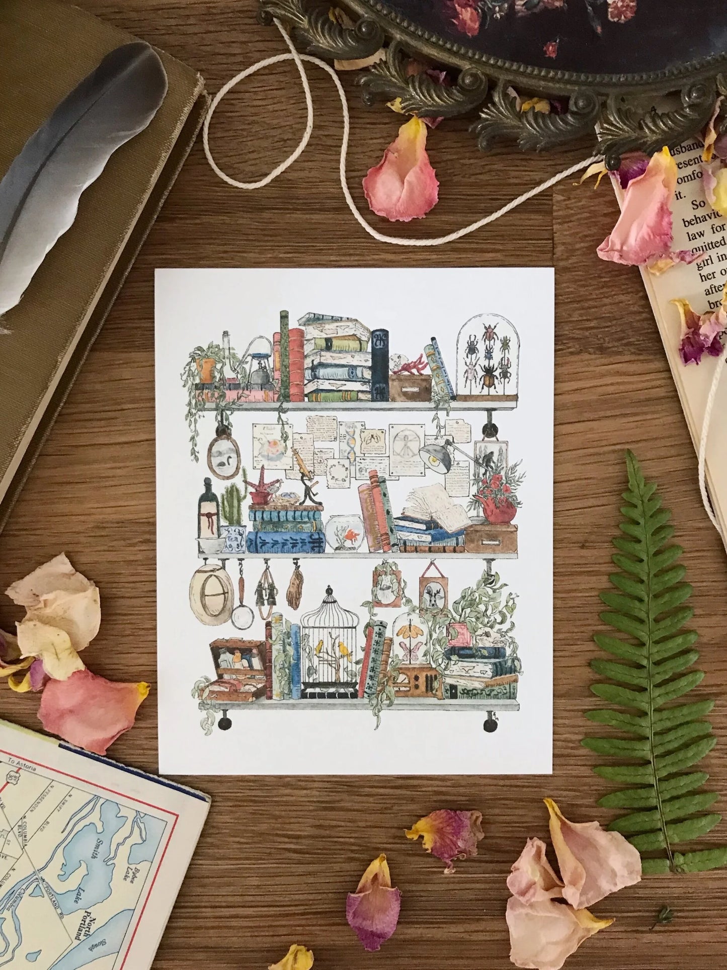 Vol. 1: Natural History Postcard Set
