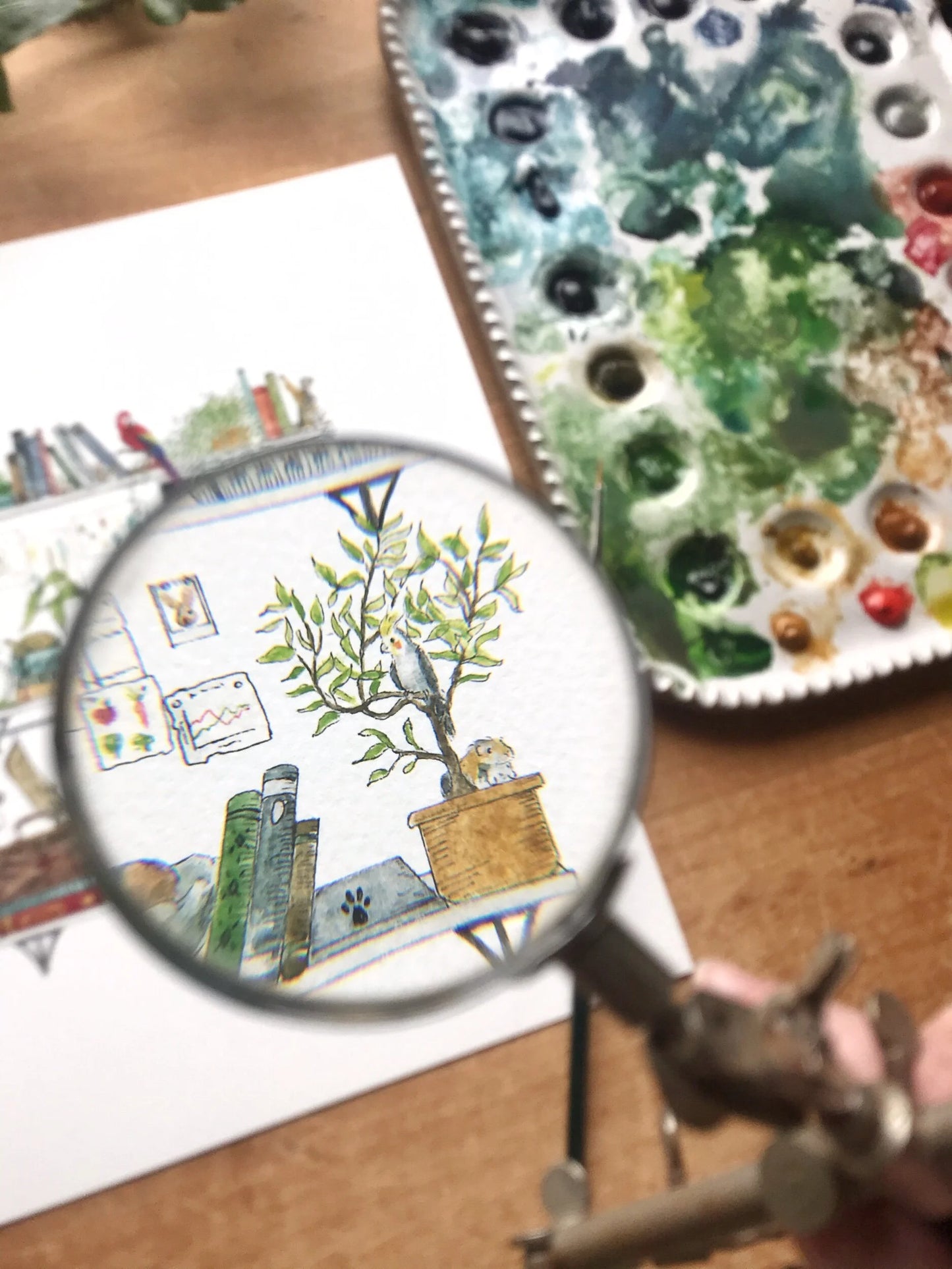 The Veterinarian's Shelves Giclée Print