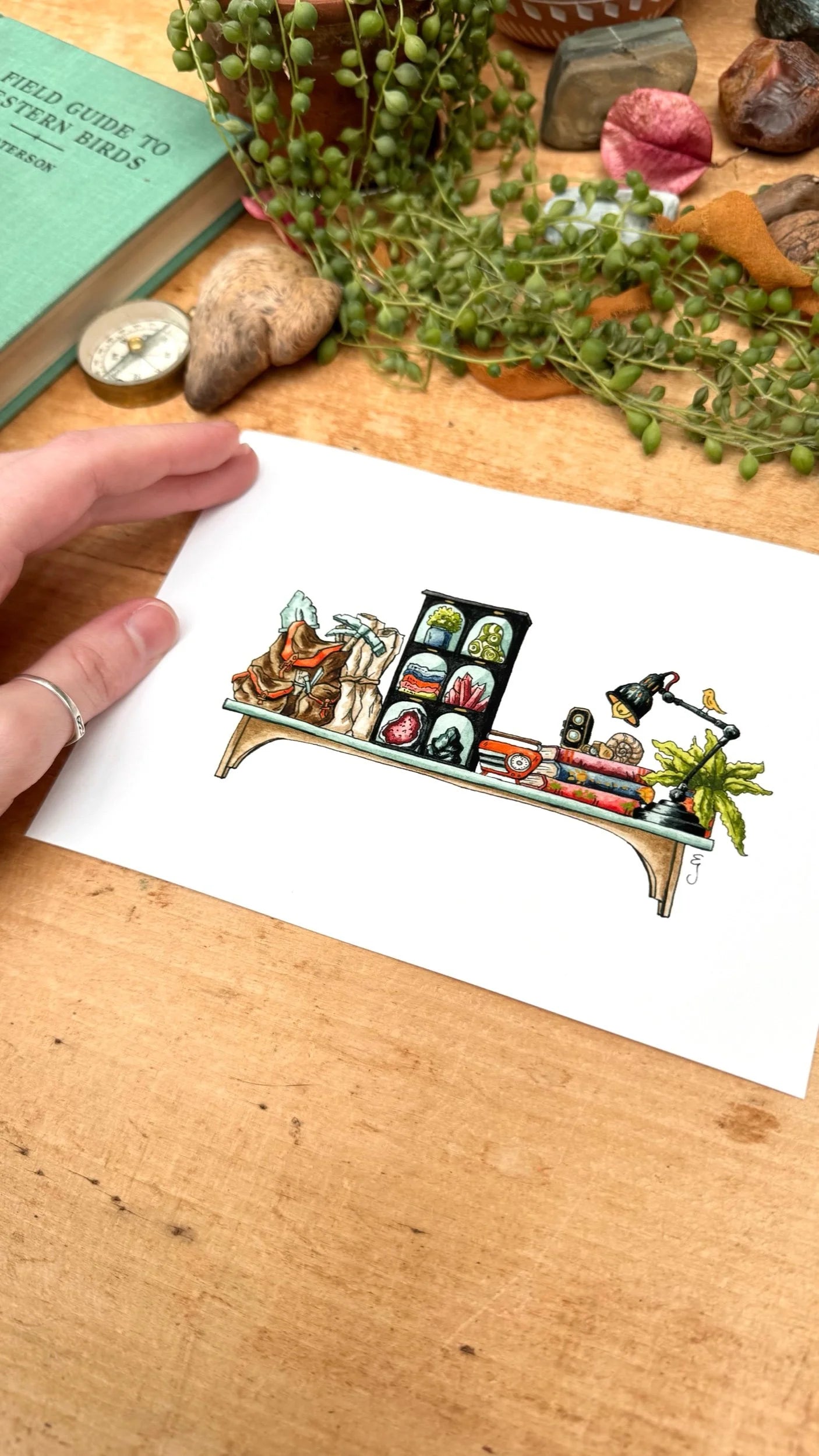 The Mini Geologist's Shelf Giclée Print