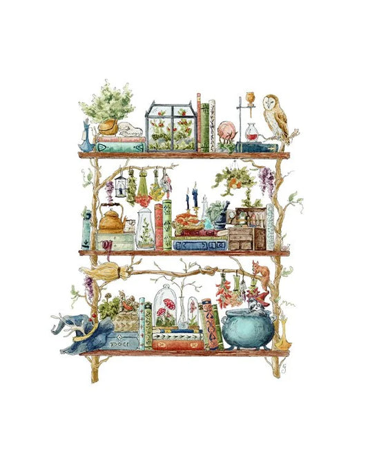 The Forest Witch's Shelves Giclée Print