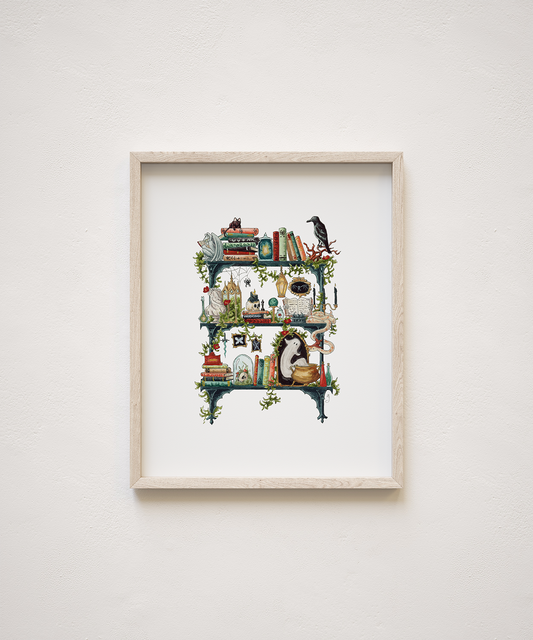 The Gothic Witch's Shelves Giclée Print