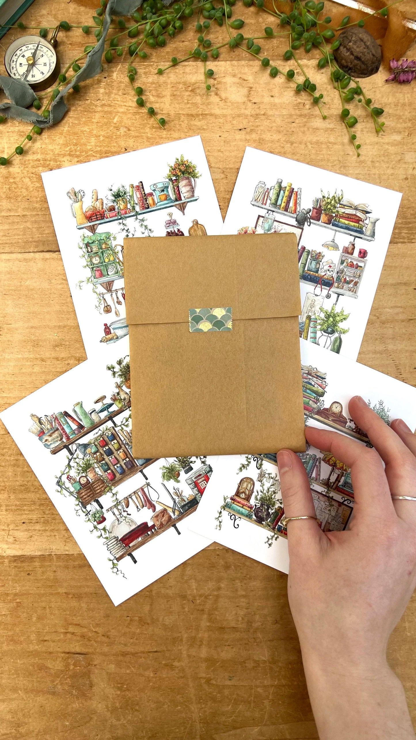 Vol. 4: Natural History Postcard Set