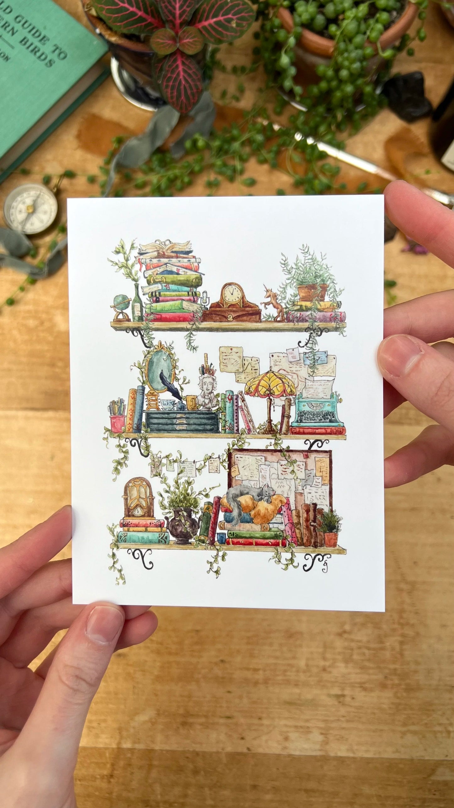 The Writer's Shelves Postcard
