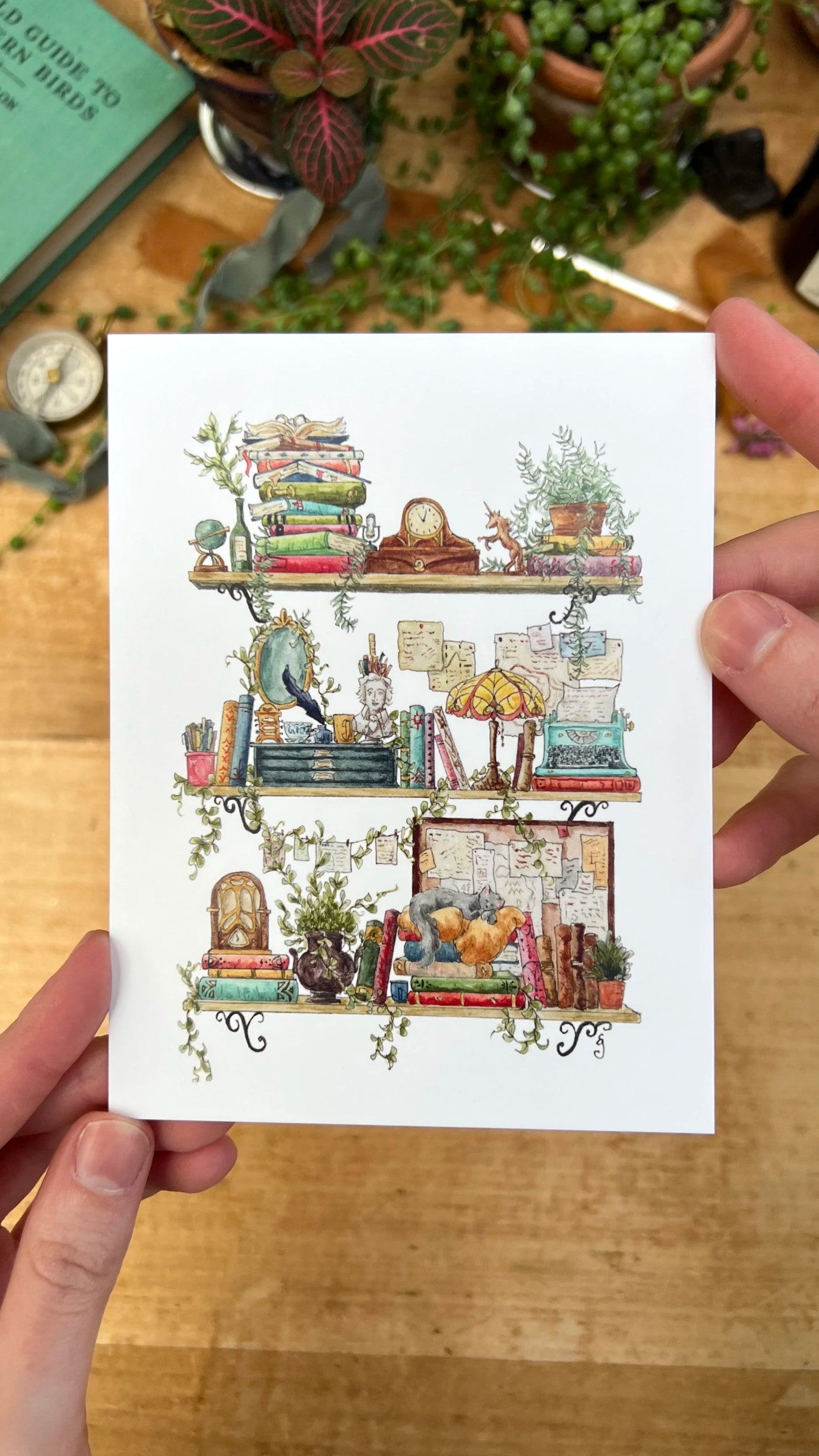 Vol. 4: Natural History Postcard Set