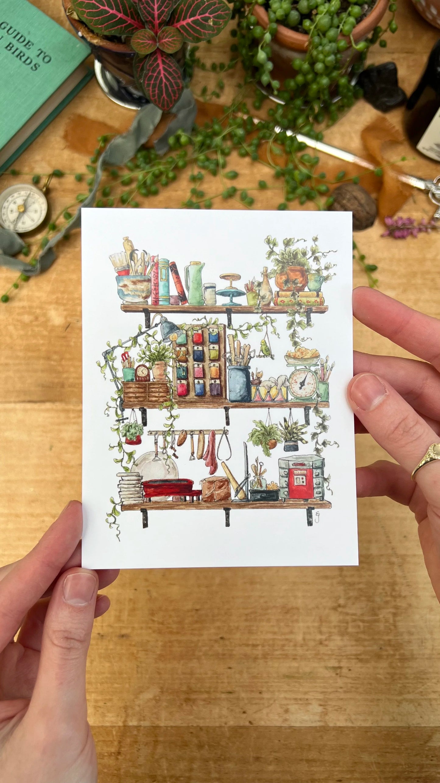 Vol. 4: Natural History Postcard Set