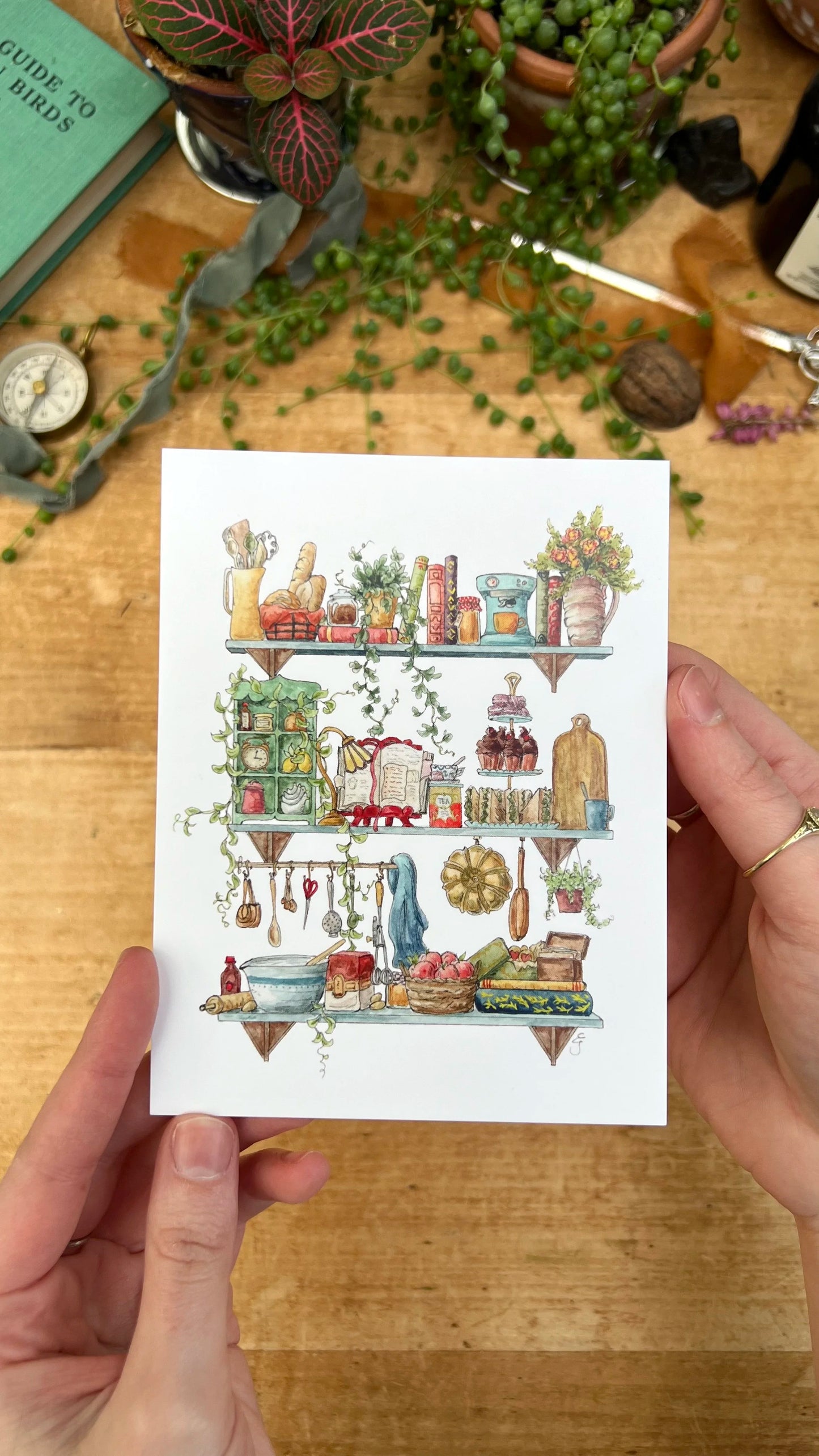 Vol. 4: Natural History Postcard Set