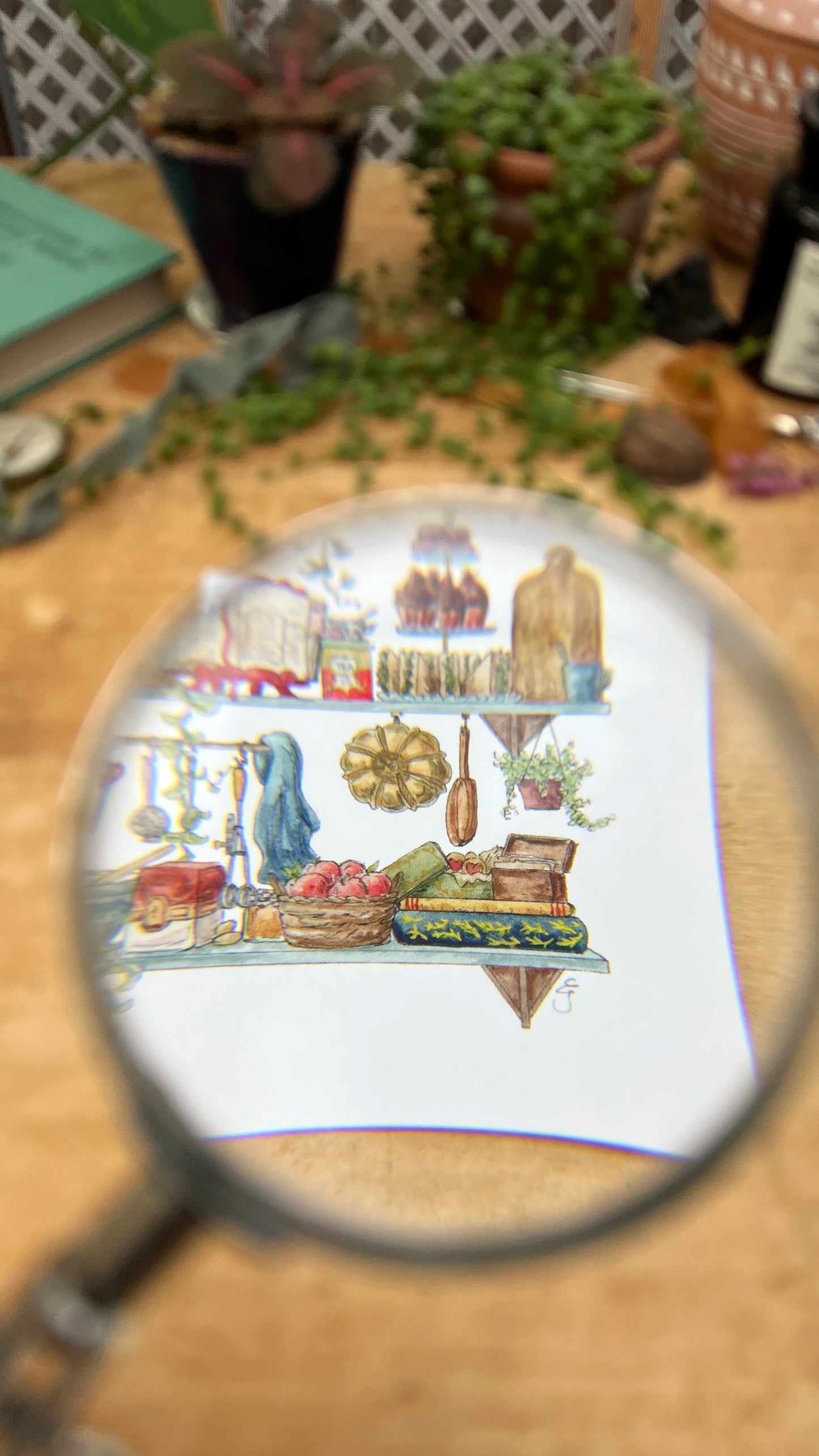 The Baker's Shelves Postcard
