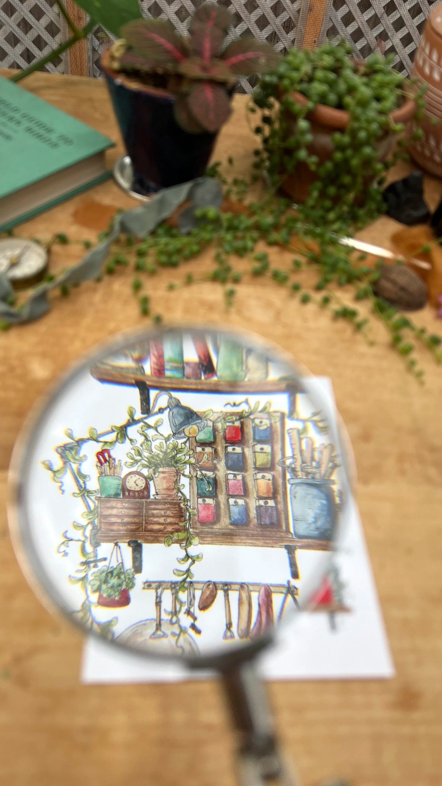 The Potter's Shelves Postcard