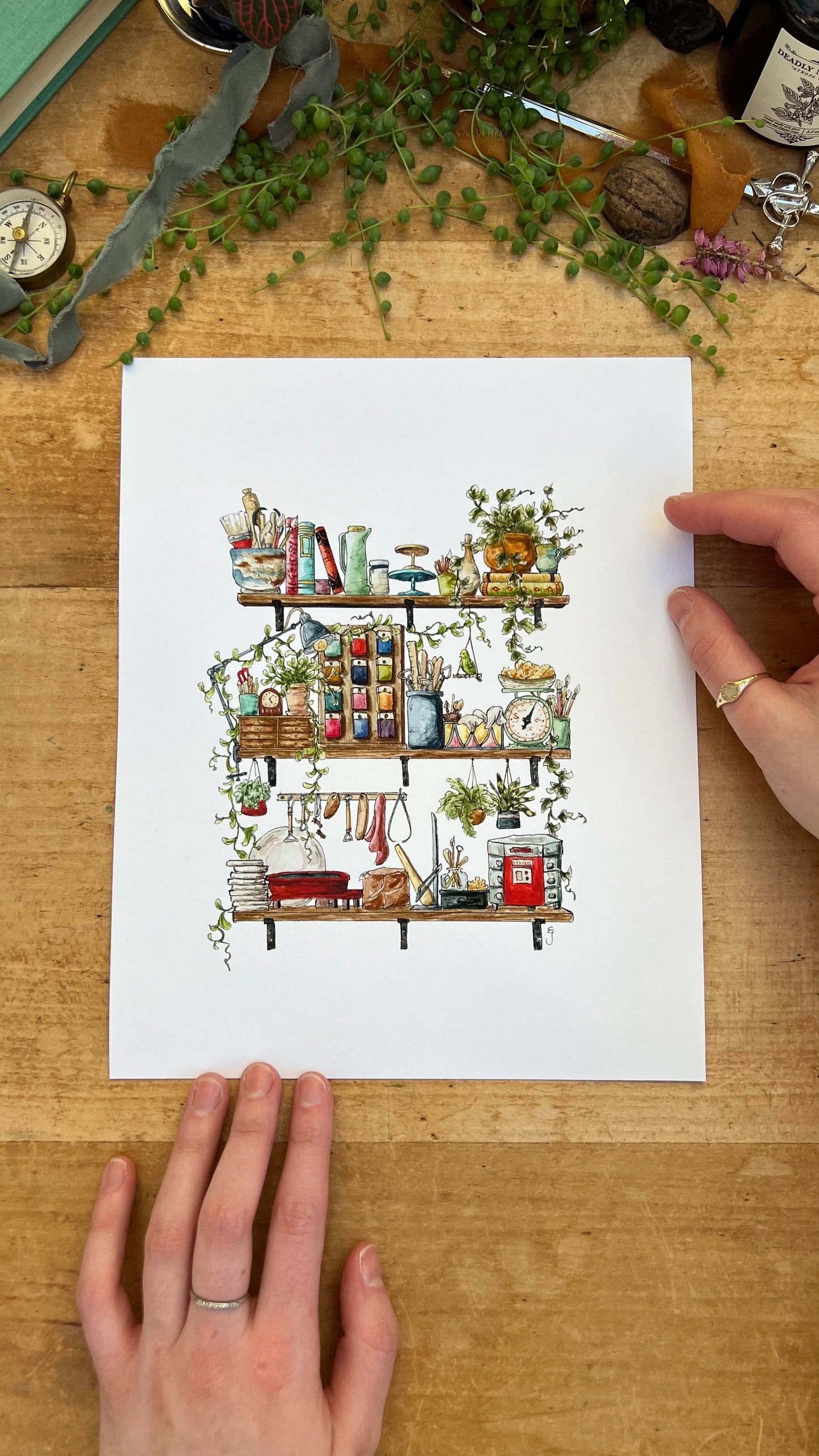 The Potter's Shelves Giclée Print