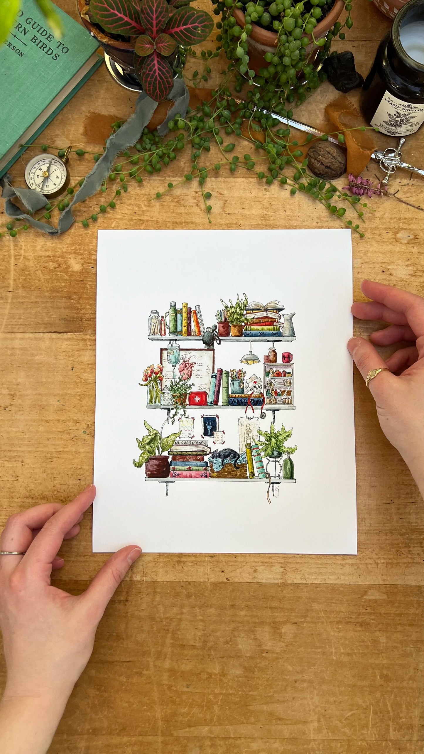 The Nurse's Shelves Giclée Print