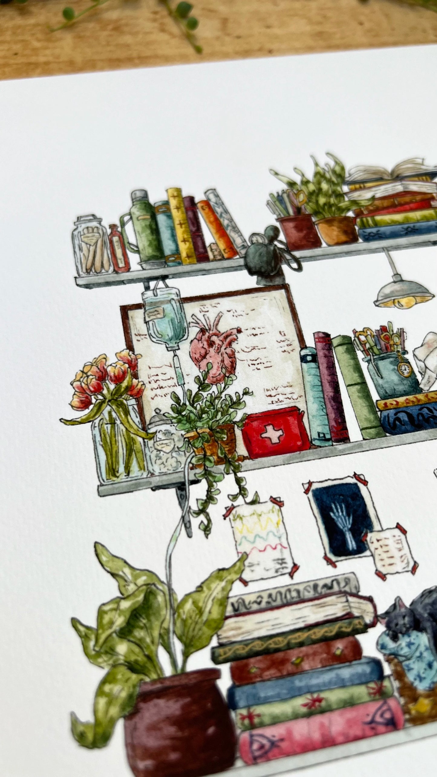The Nurse's Shelves Giclée Print