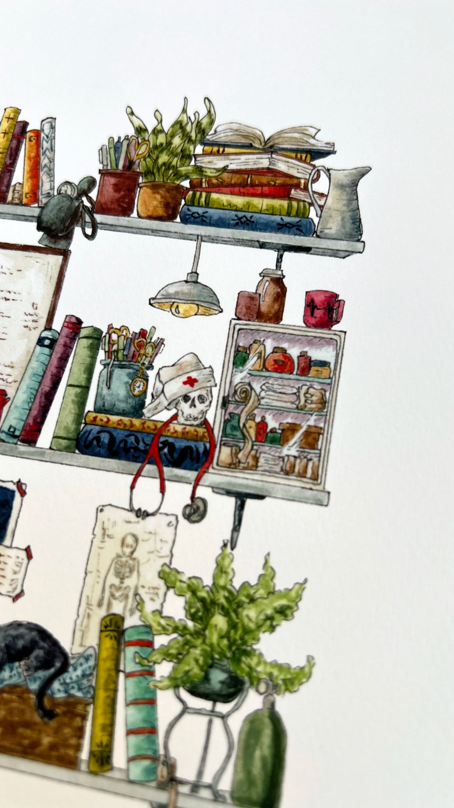 The Nurse's Shelves Giclée Print