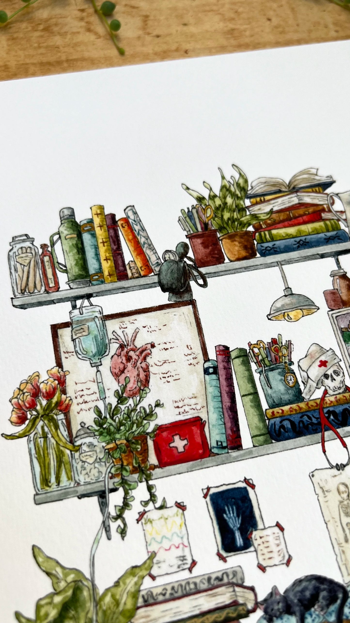 The Nurse's Shelves Giclée Print