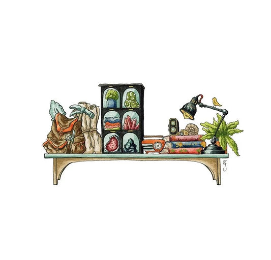 The Mini Geologist's Shelf Giclée Print