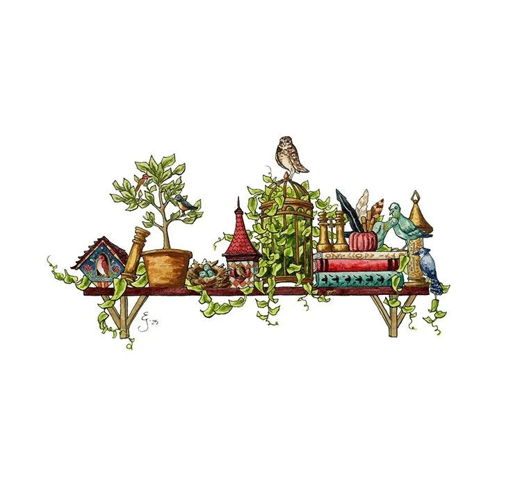 The Mini Ornithologist's Shelf Giclée Print