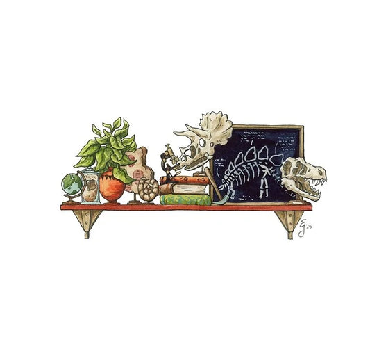 The Mini Paleontologist's Shelf Giclée Print